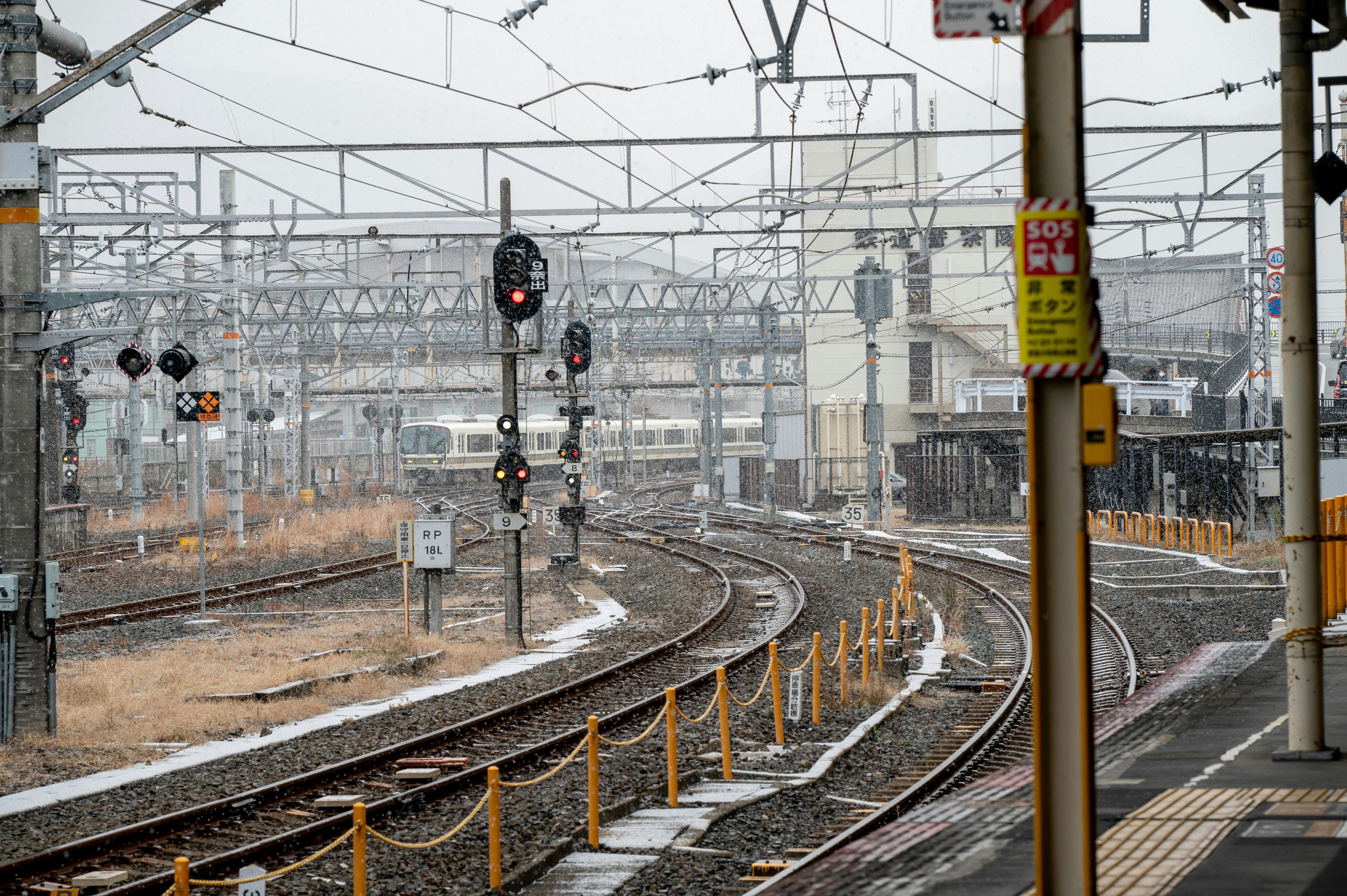 Photo by turquocabbit