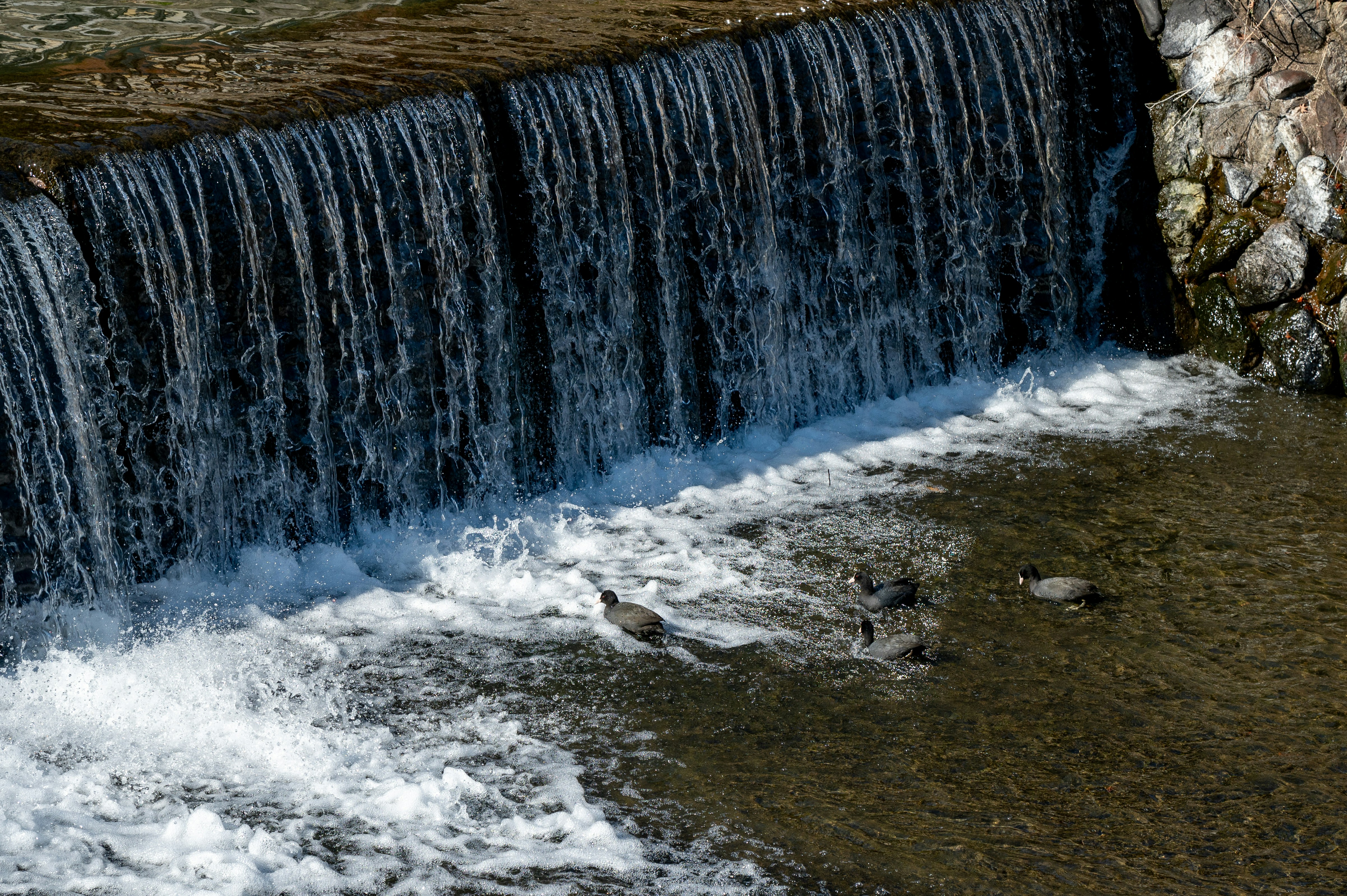 Photo by turquocabbit