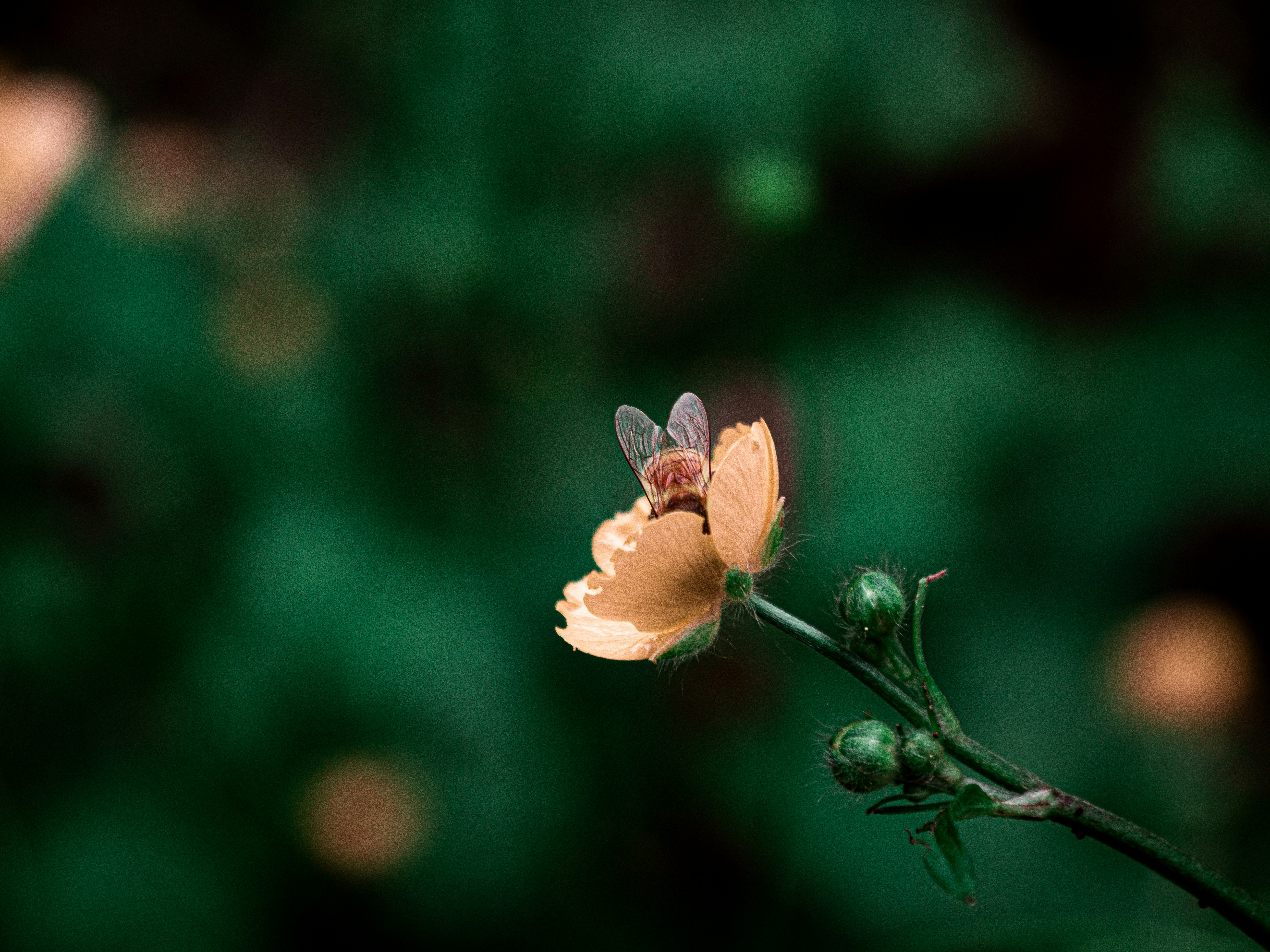 Photo by eliamassignan