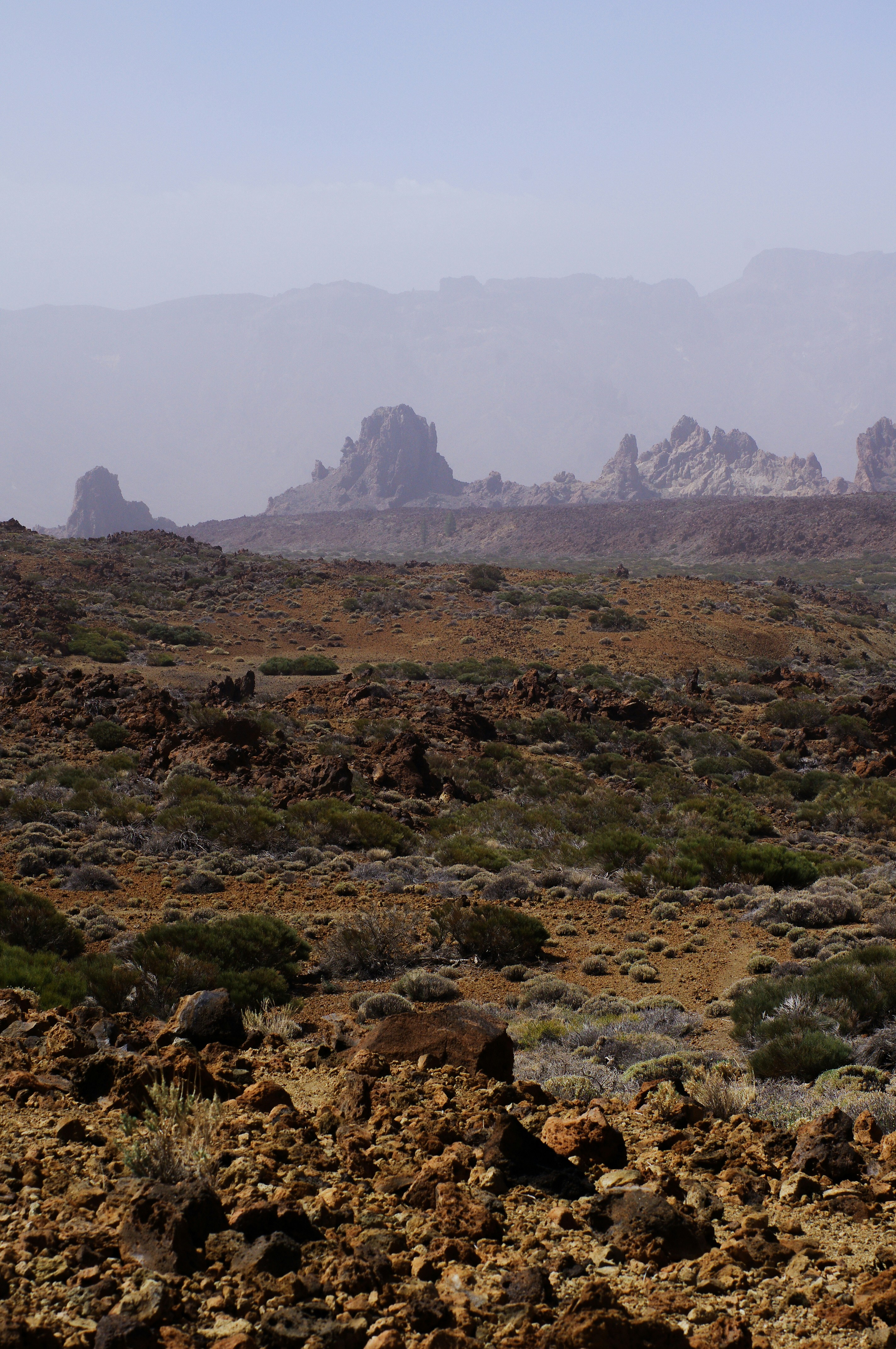 Rocky desert landscape with distant mountains