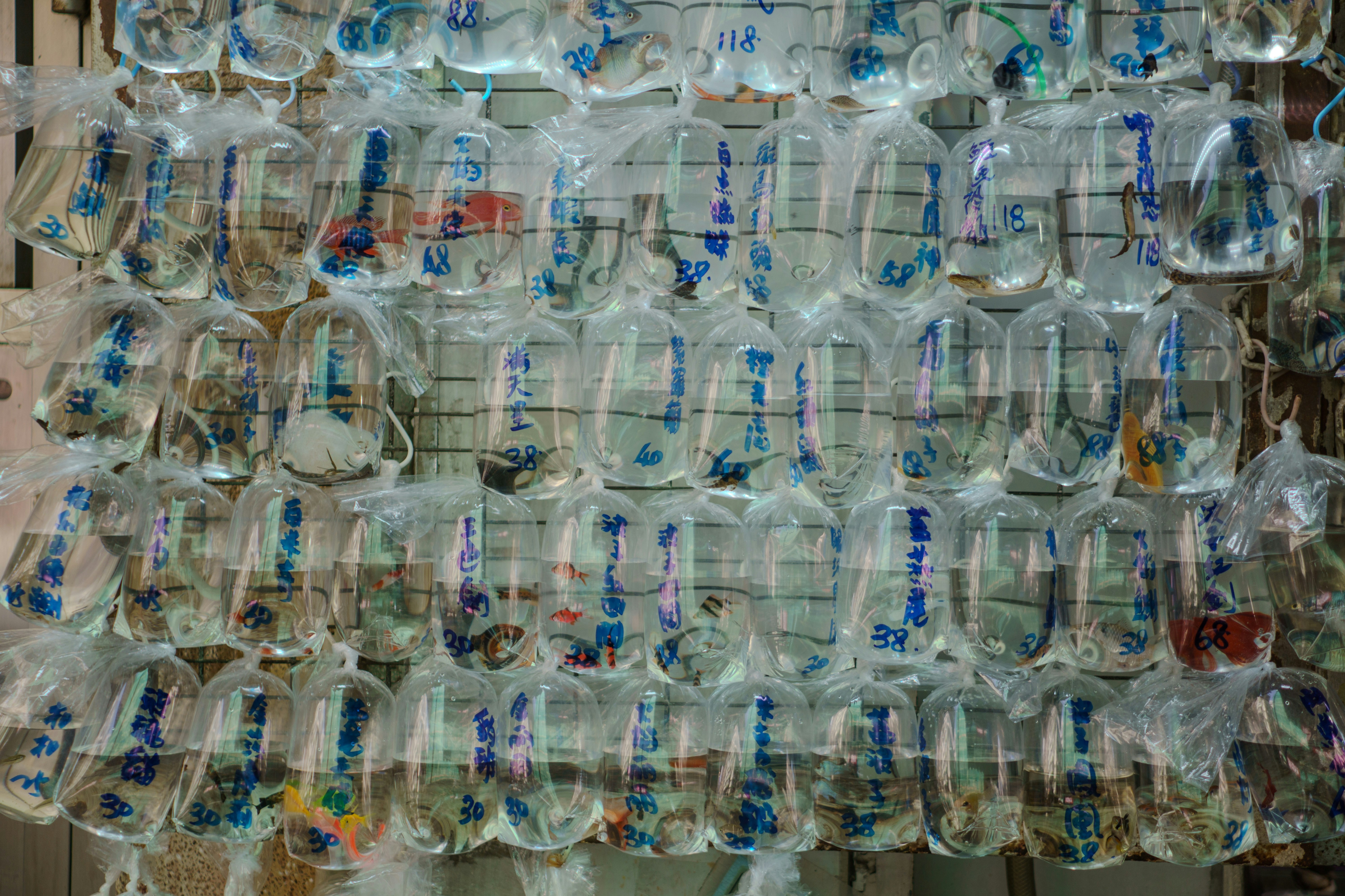Plastic recycling laboratory