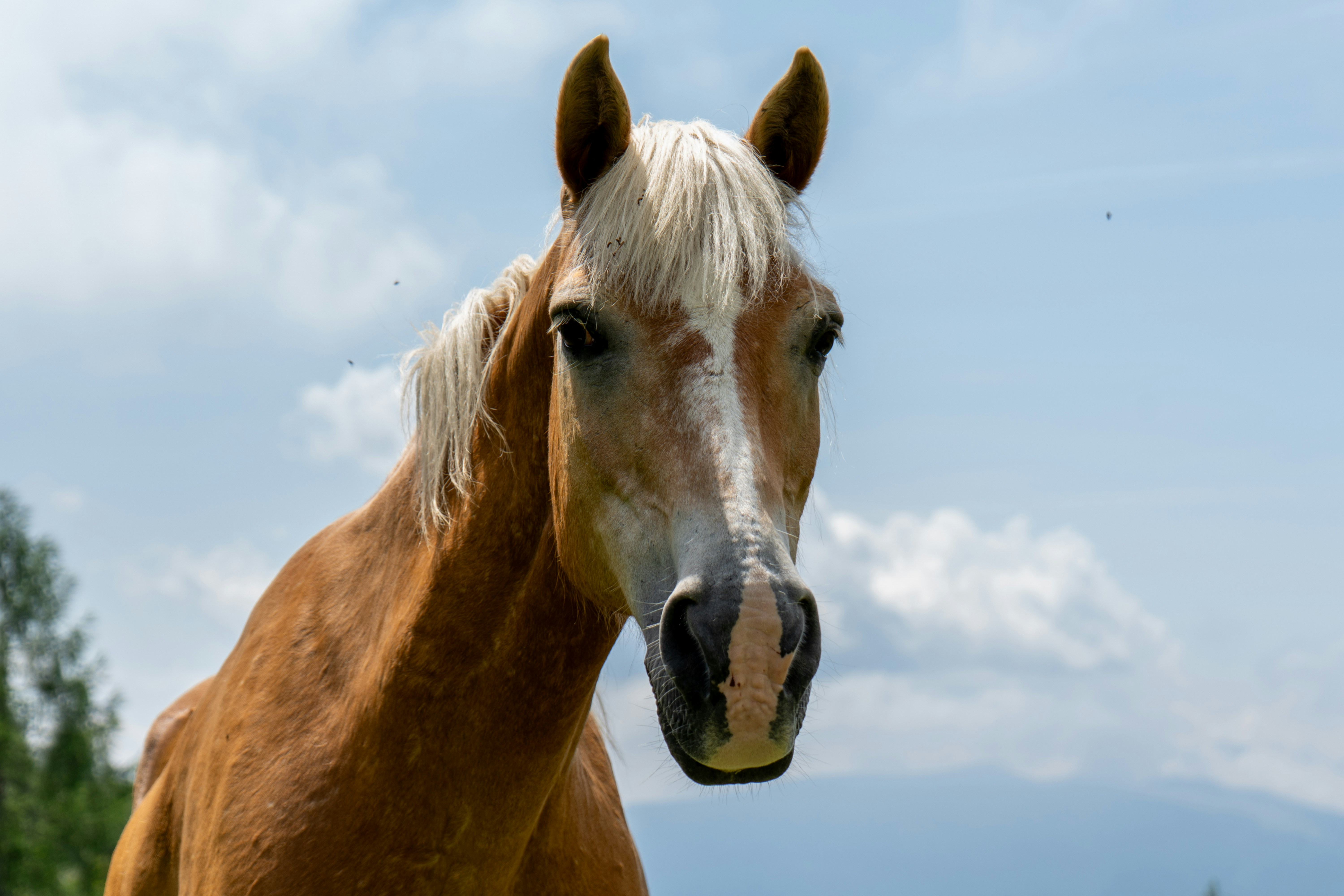 Photo by alexandroap