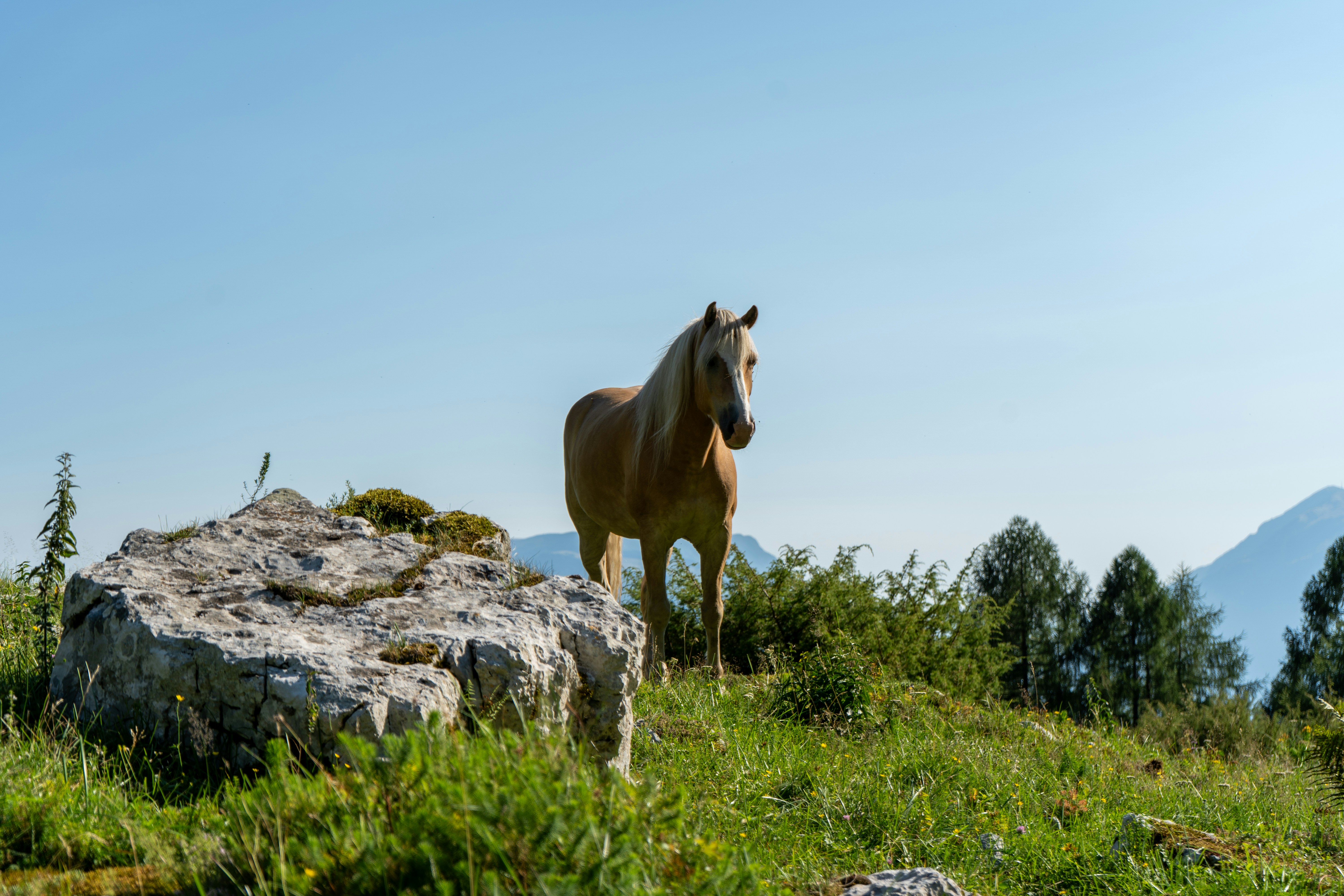 Photo by alexandroap