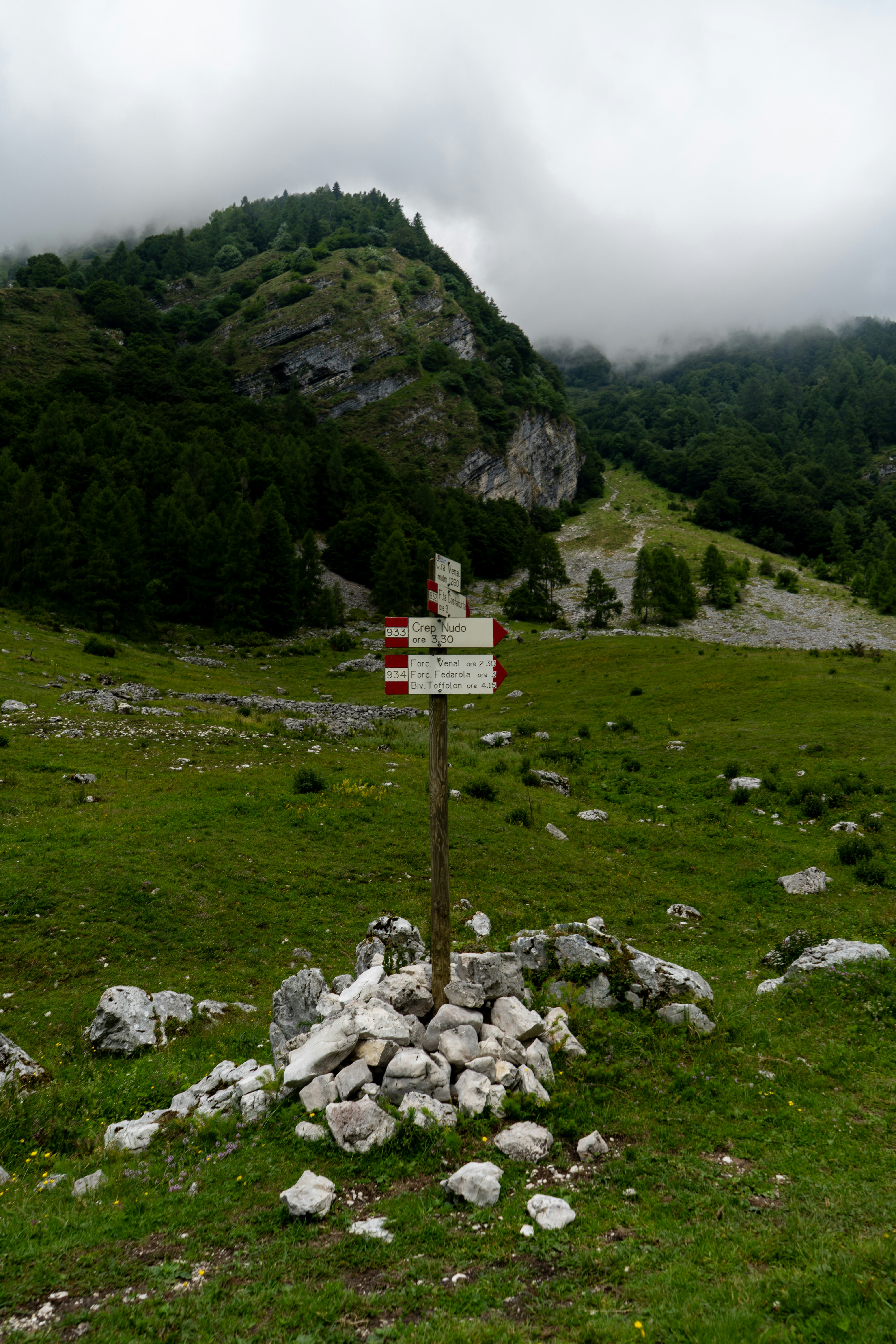 Signpost in a grassy field with mountains behind