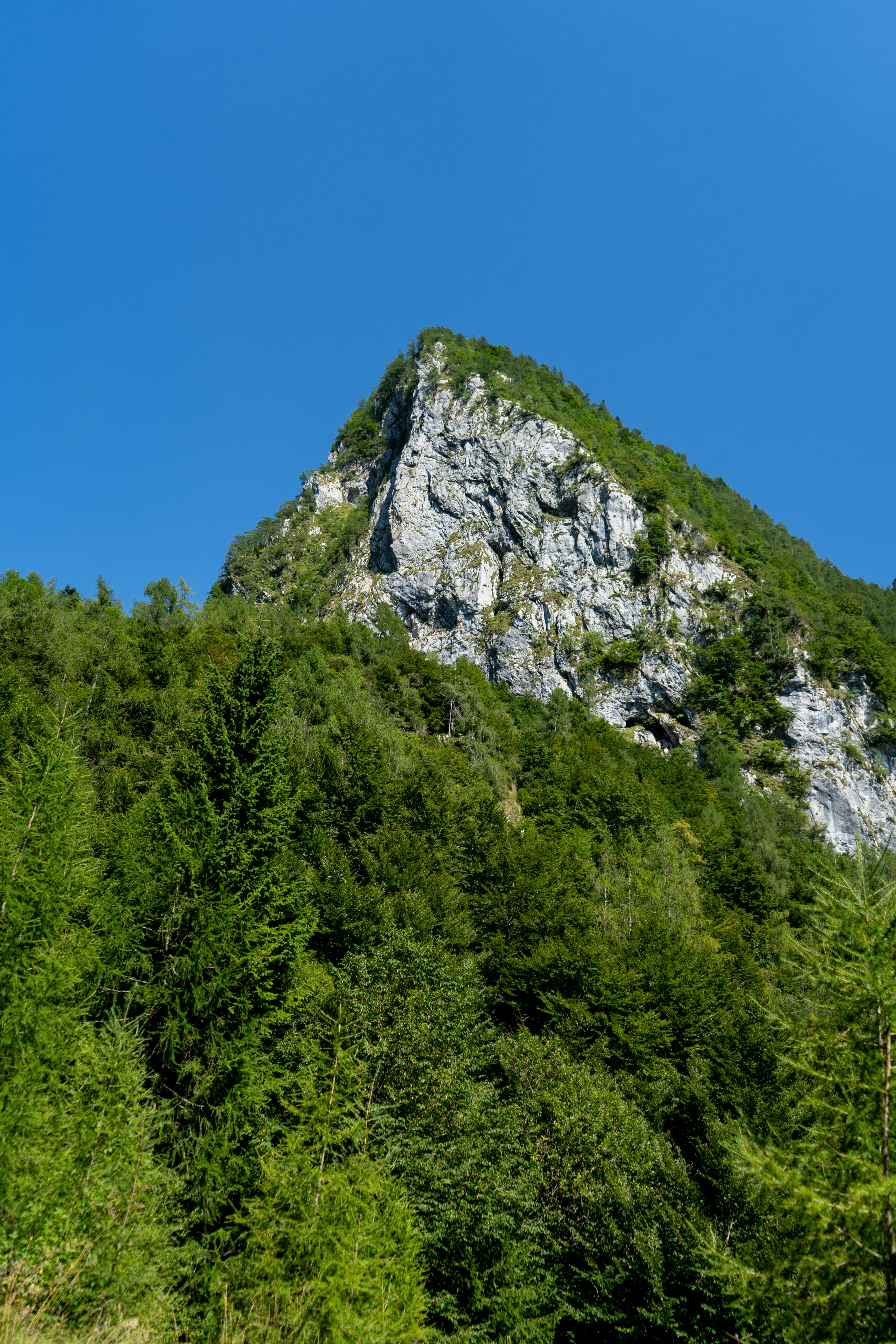 Photo by alexandroap