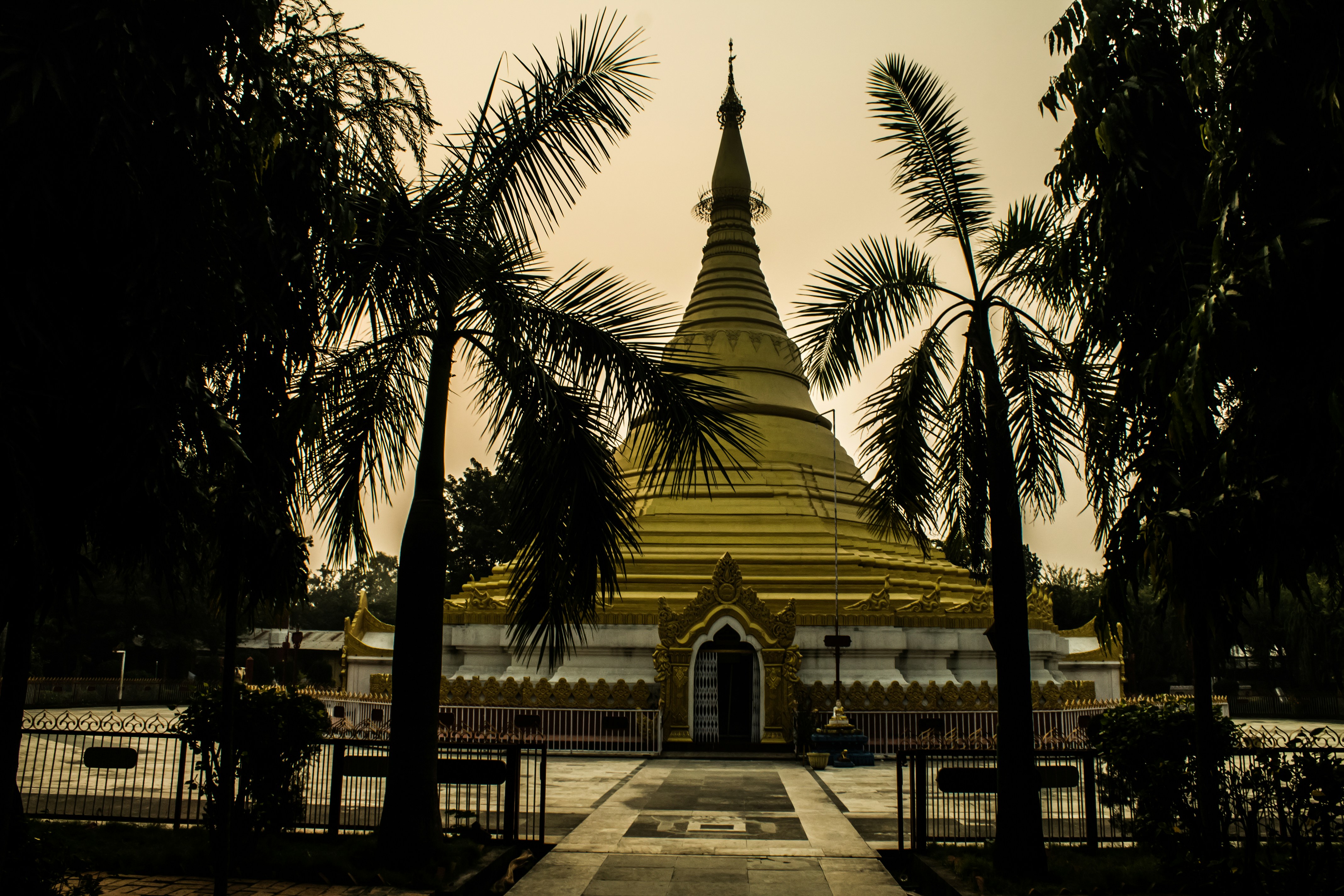 Golden stupa between two palm trees at dusk