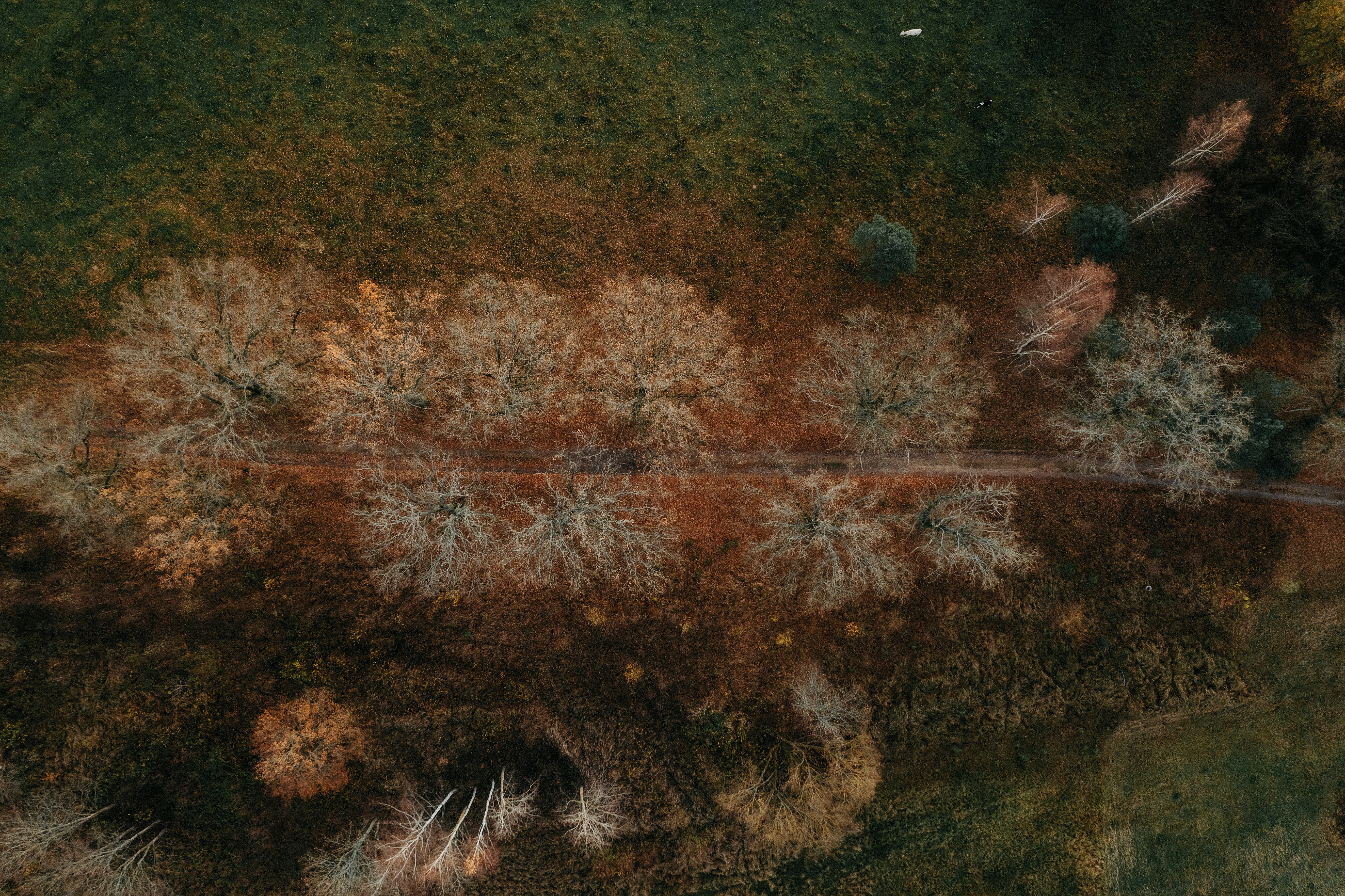 Photo by kristapsungurs