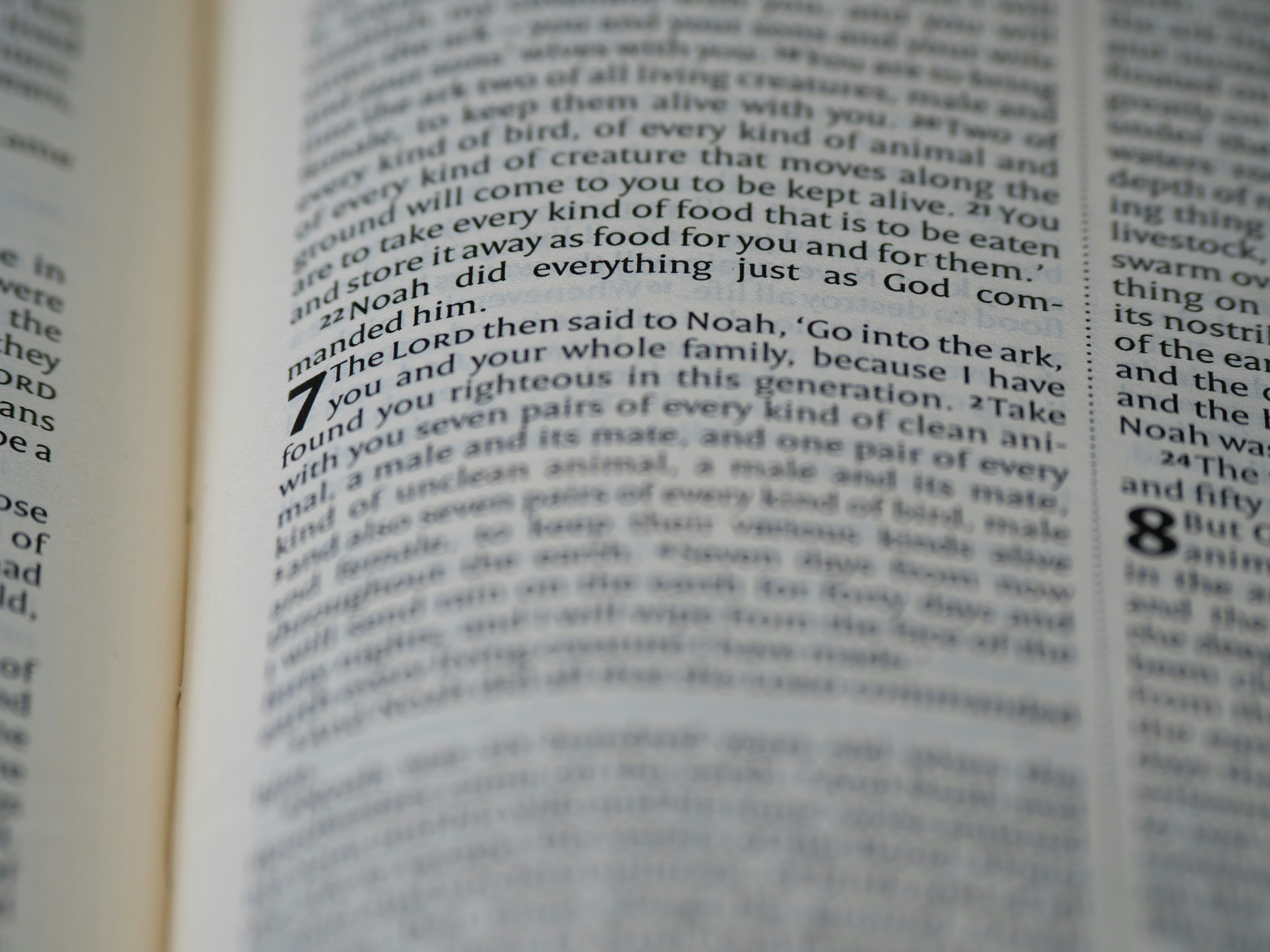 Close-up of text in an open book