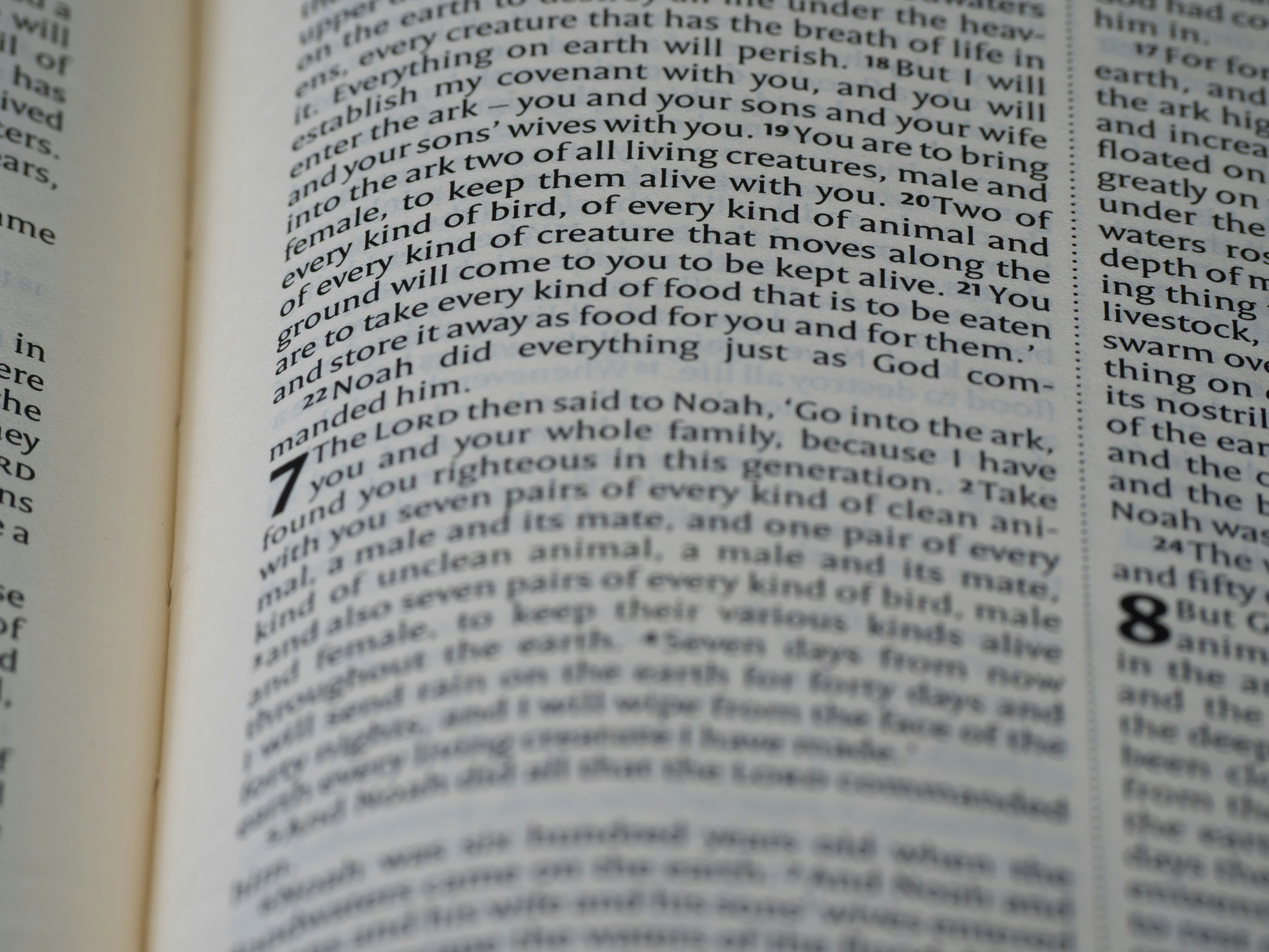 Photo by brett_jordan