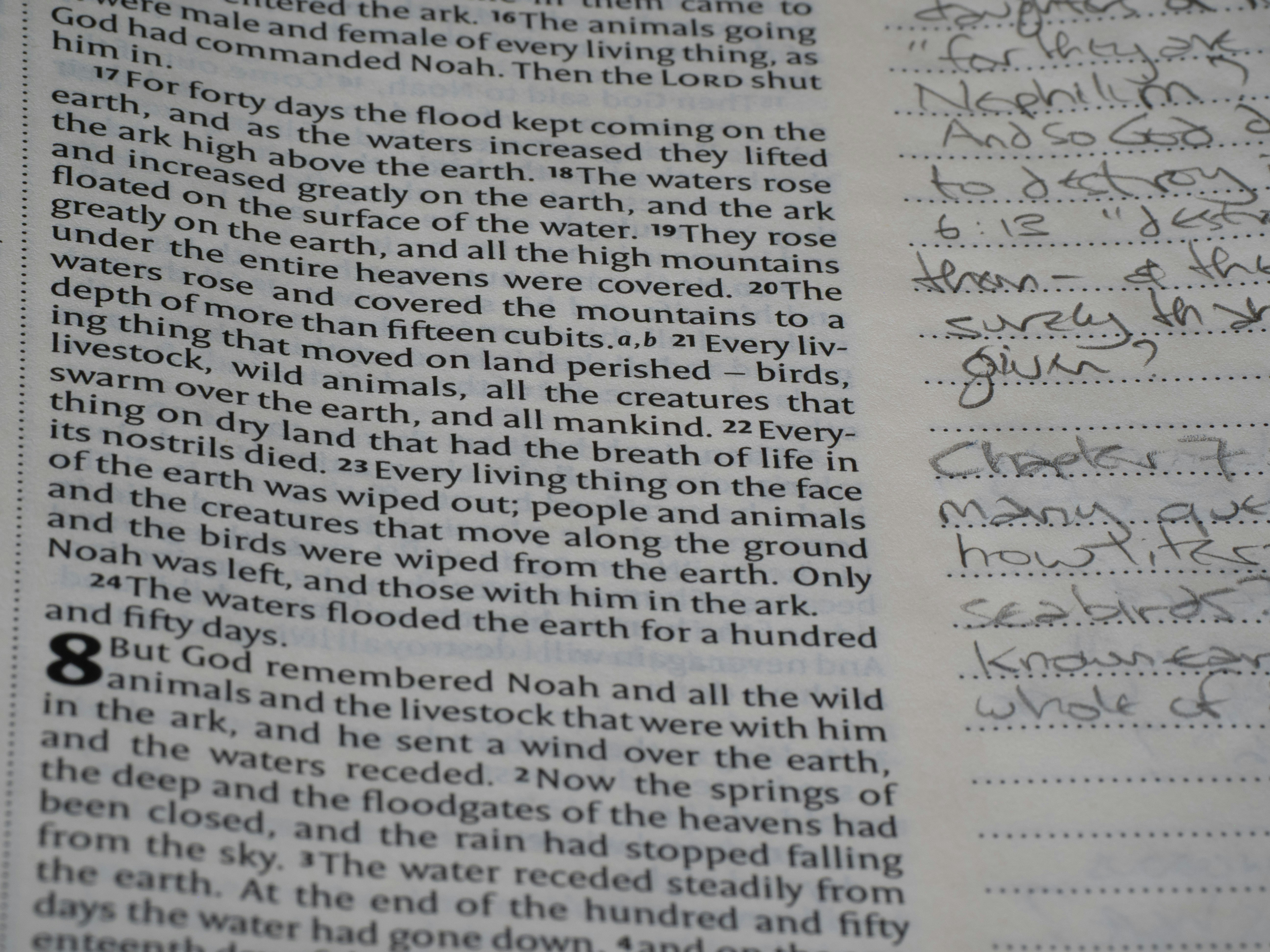 Texte imprimé montrant différents signes de ponctuation