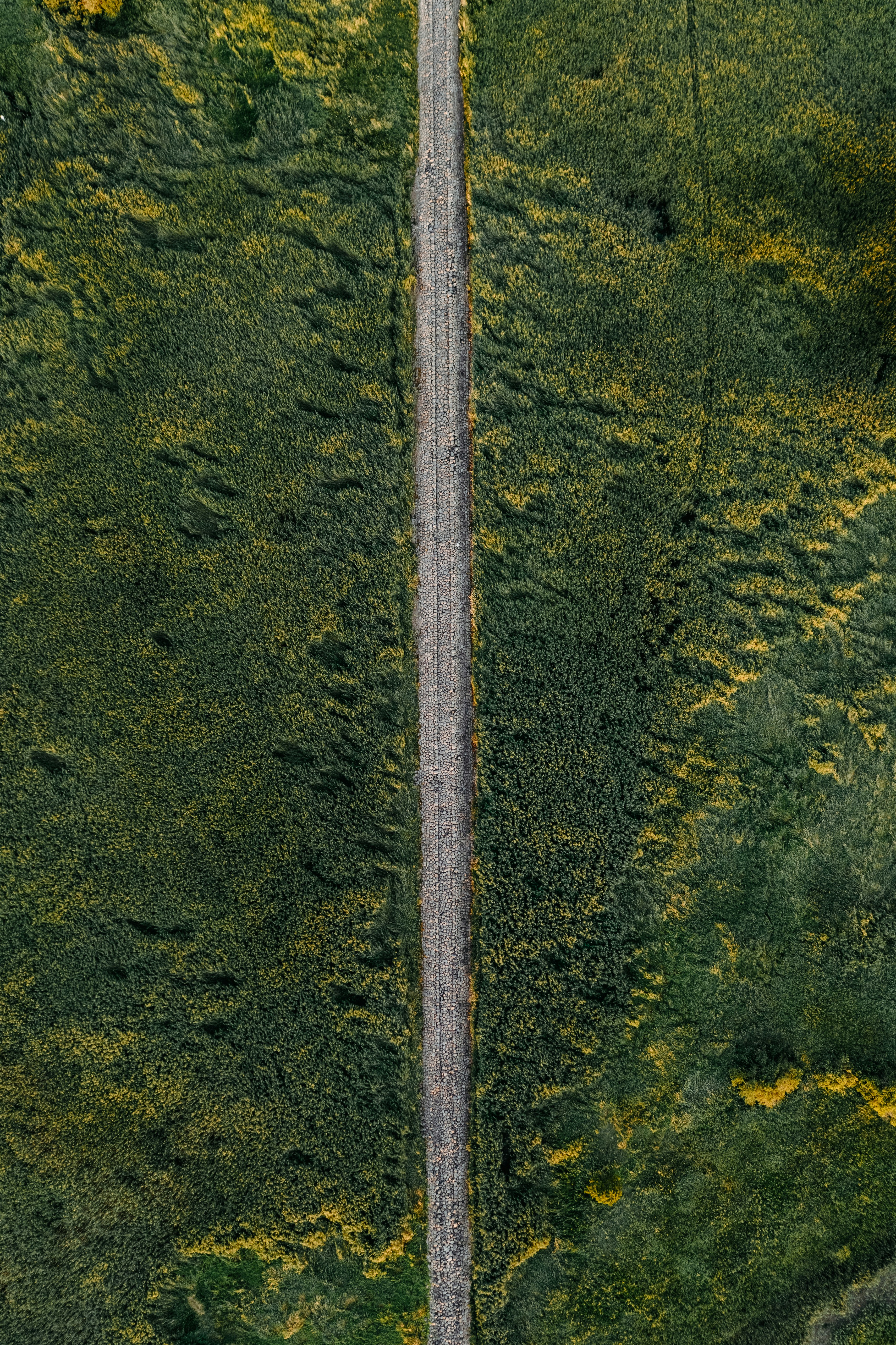 Photo by kristapsungurs