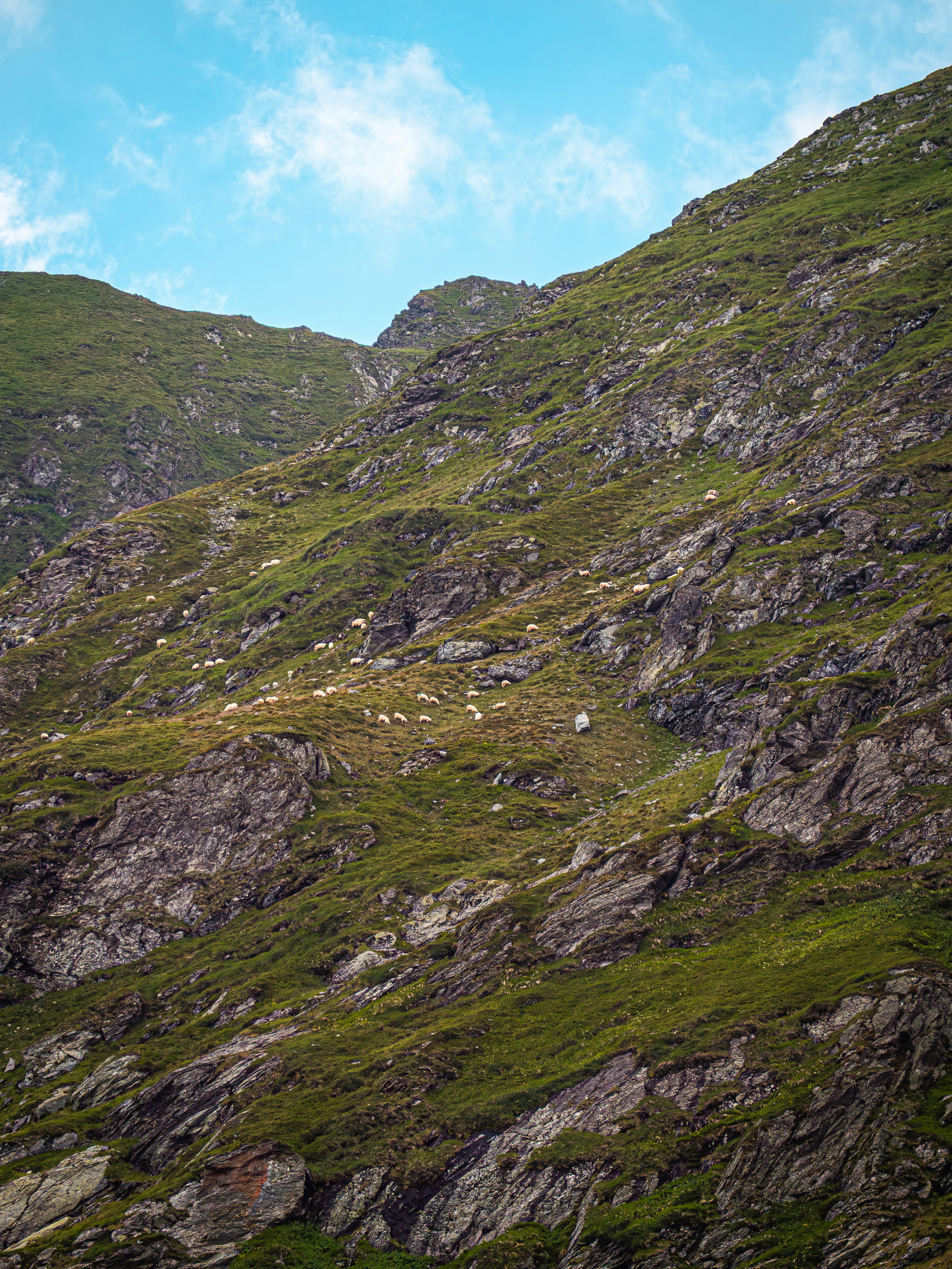 Photo by poli_graphy