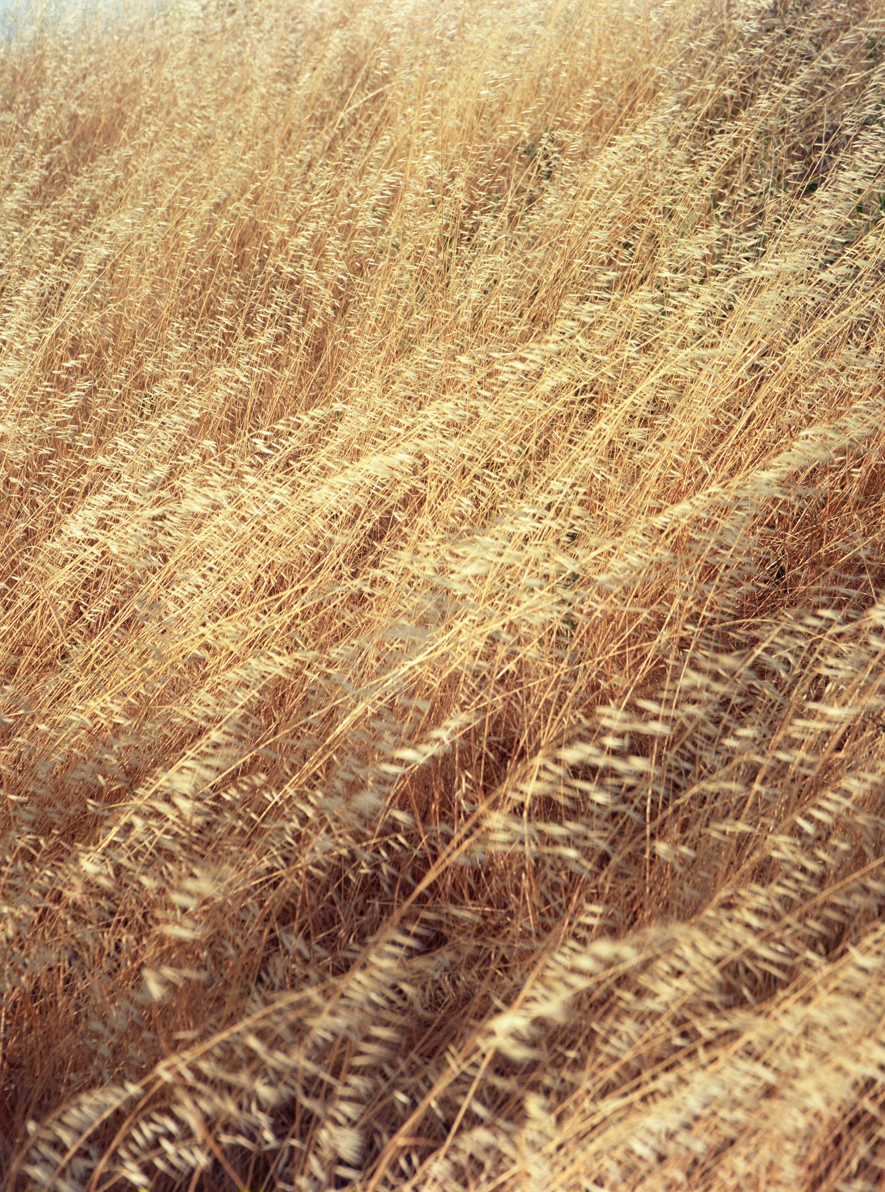 Photo by theshadowofadam