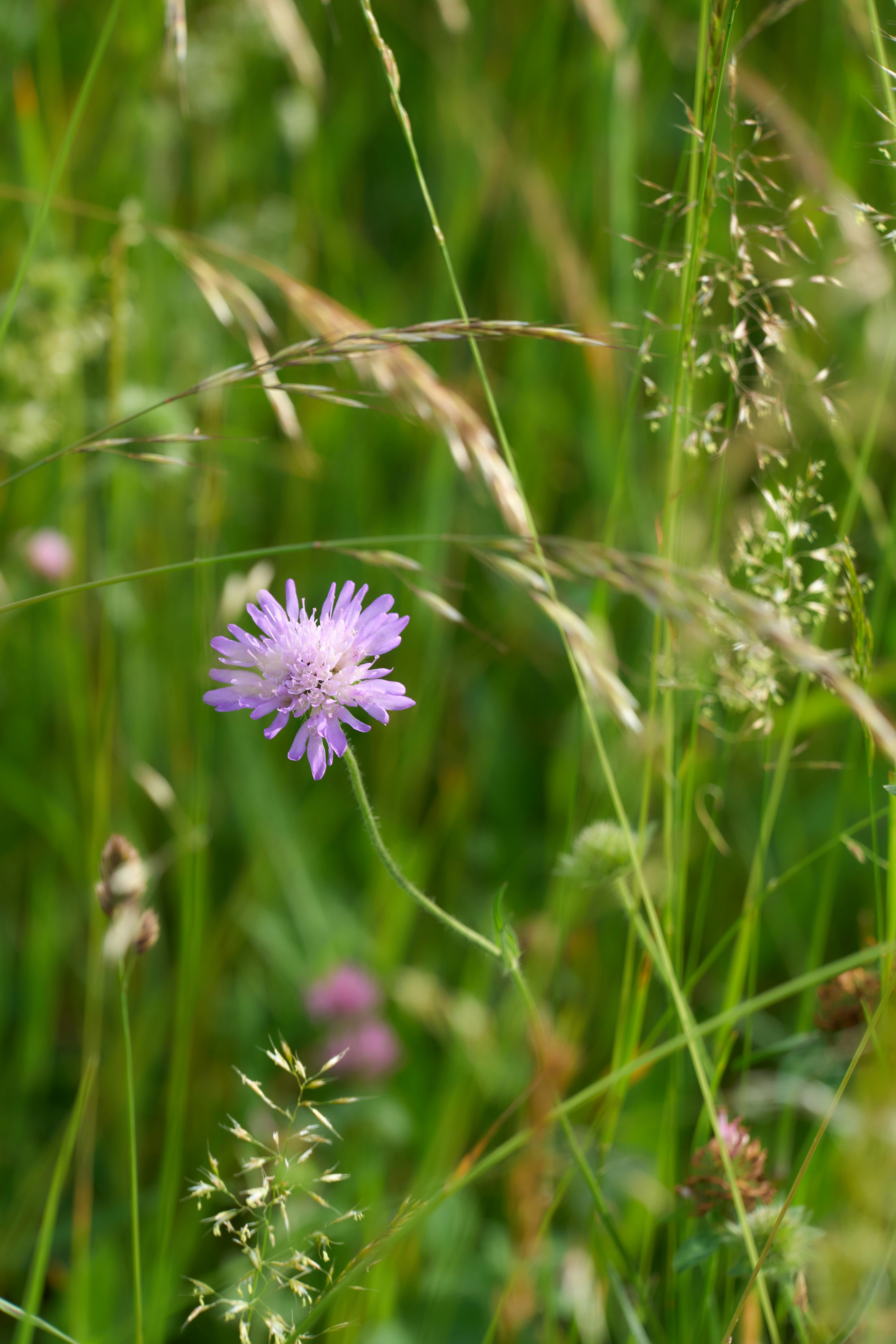 Photo by wolfgang_hasselmann