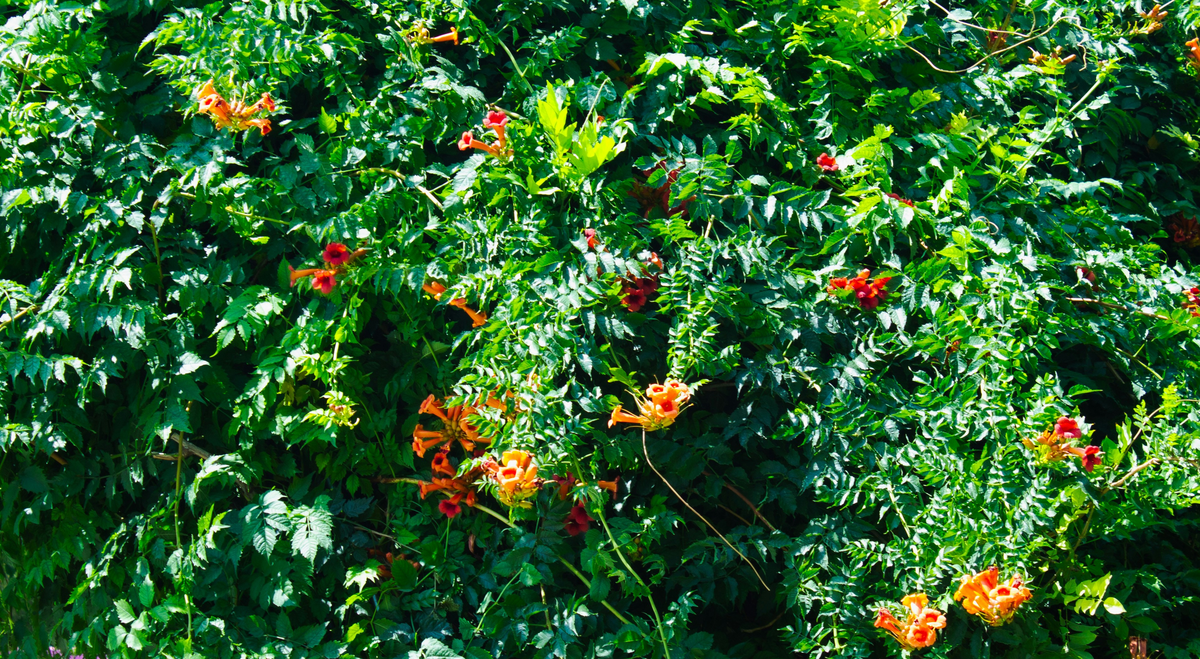 Photo by elham_frame