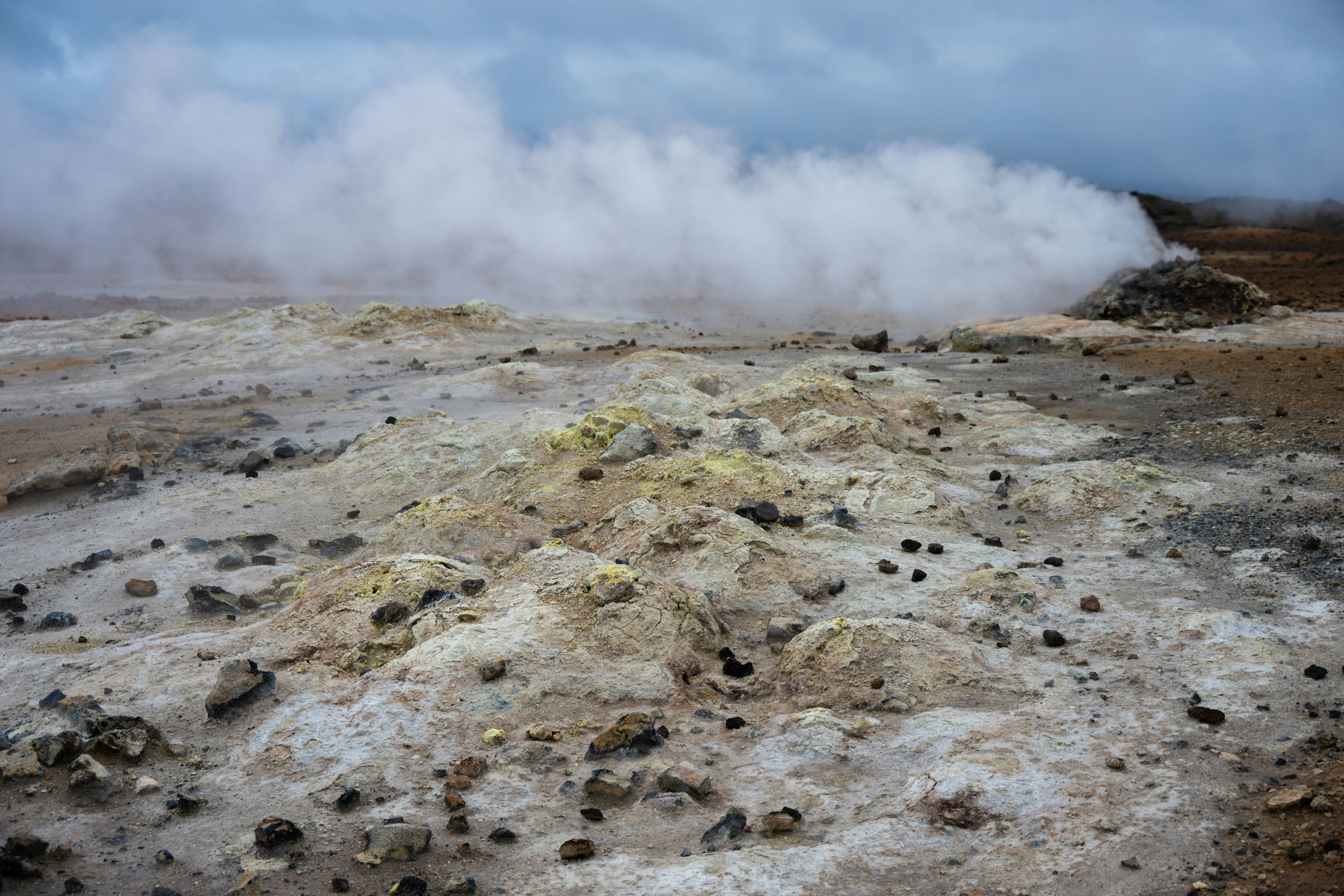 Photo by justmejuliee