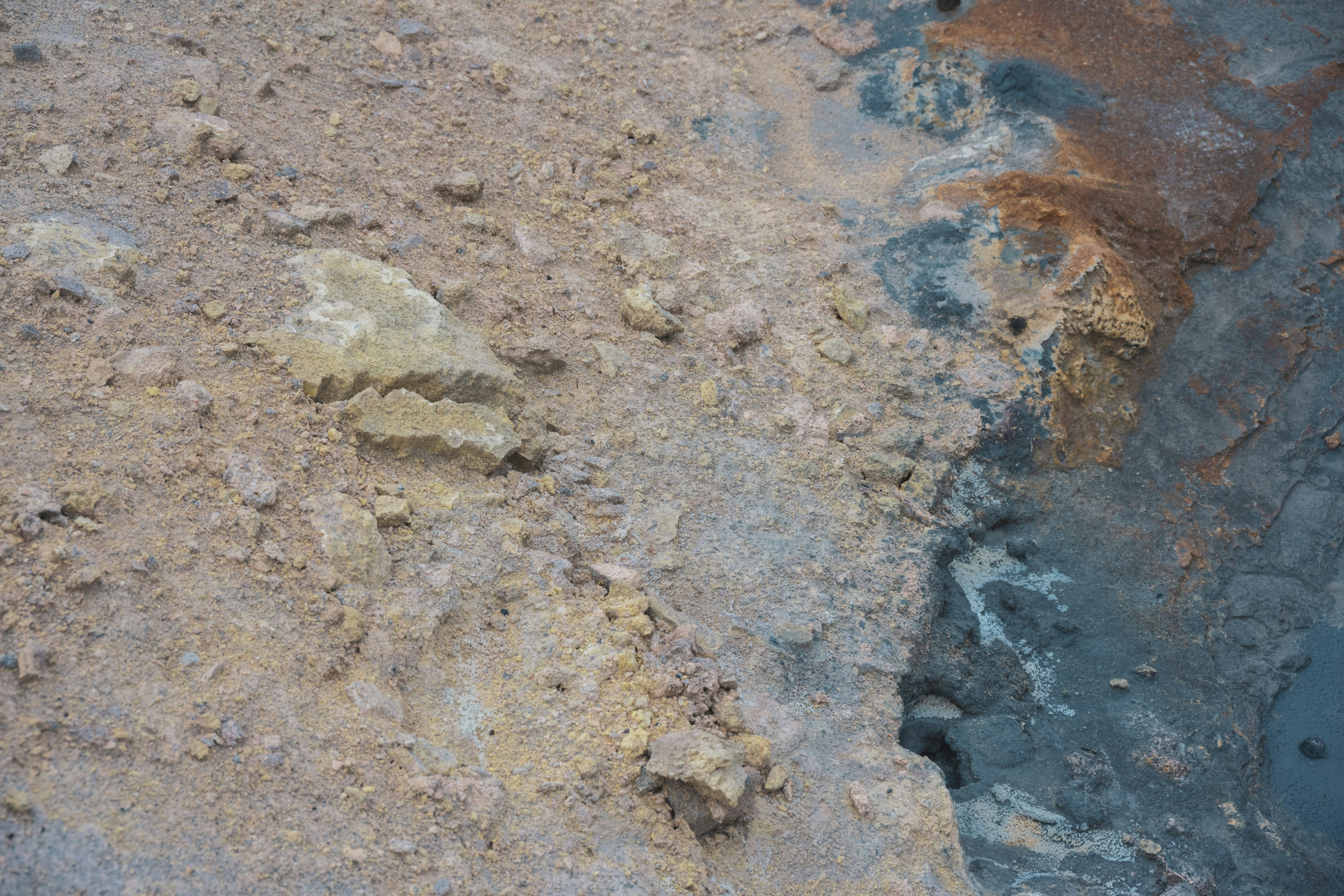 Photo by justmejuliee