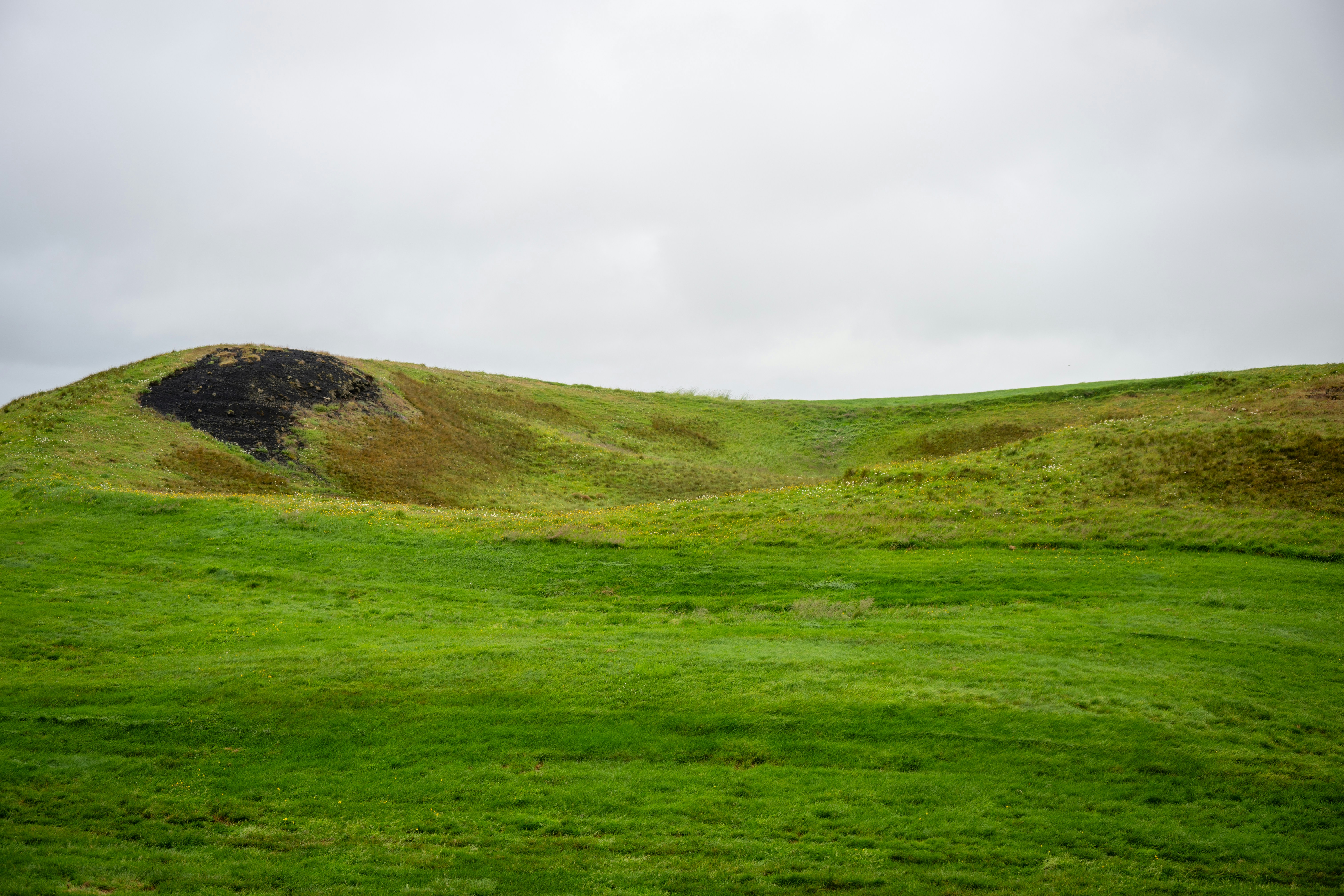 Photo by justmejuliee