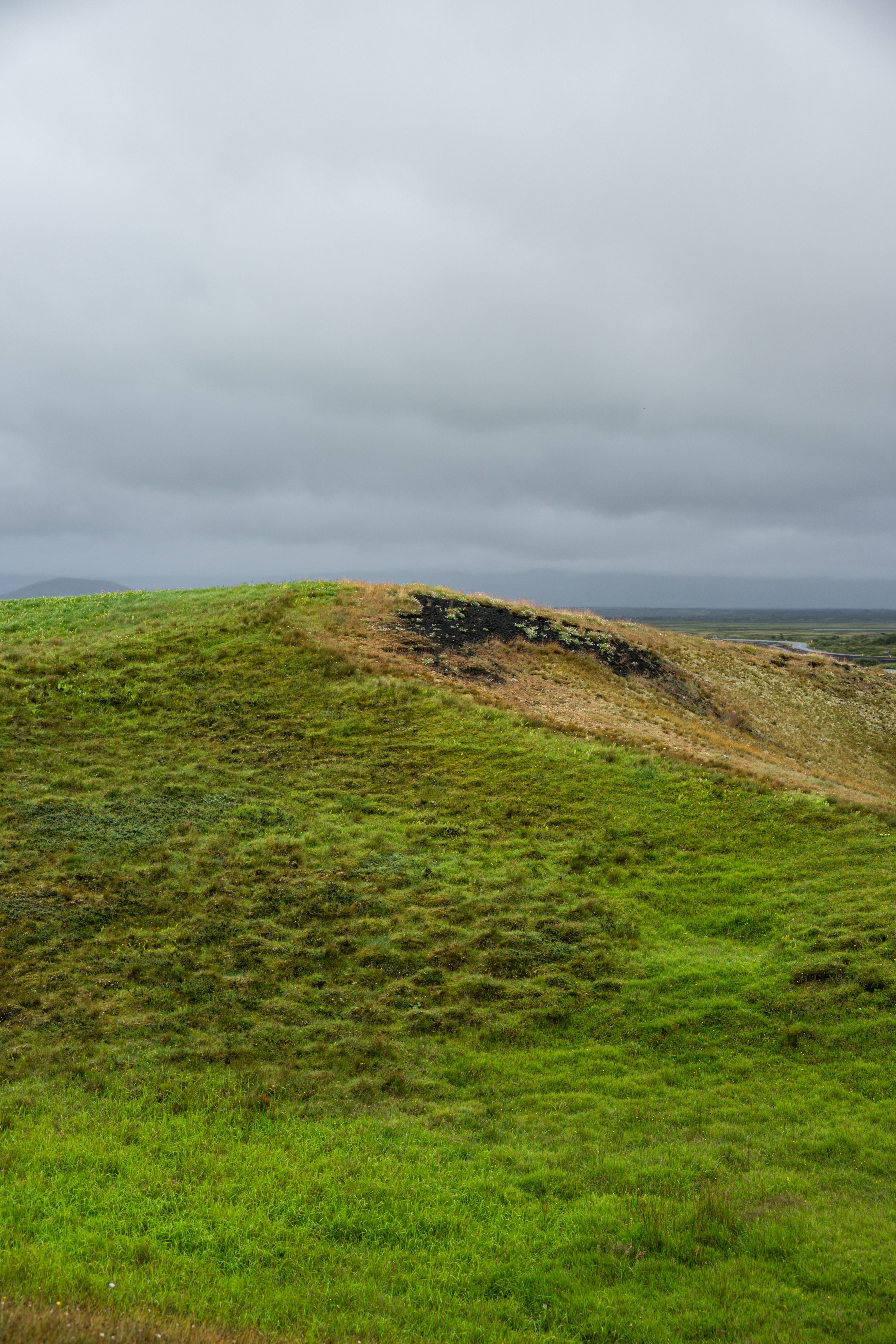 Photo by justmejuliee