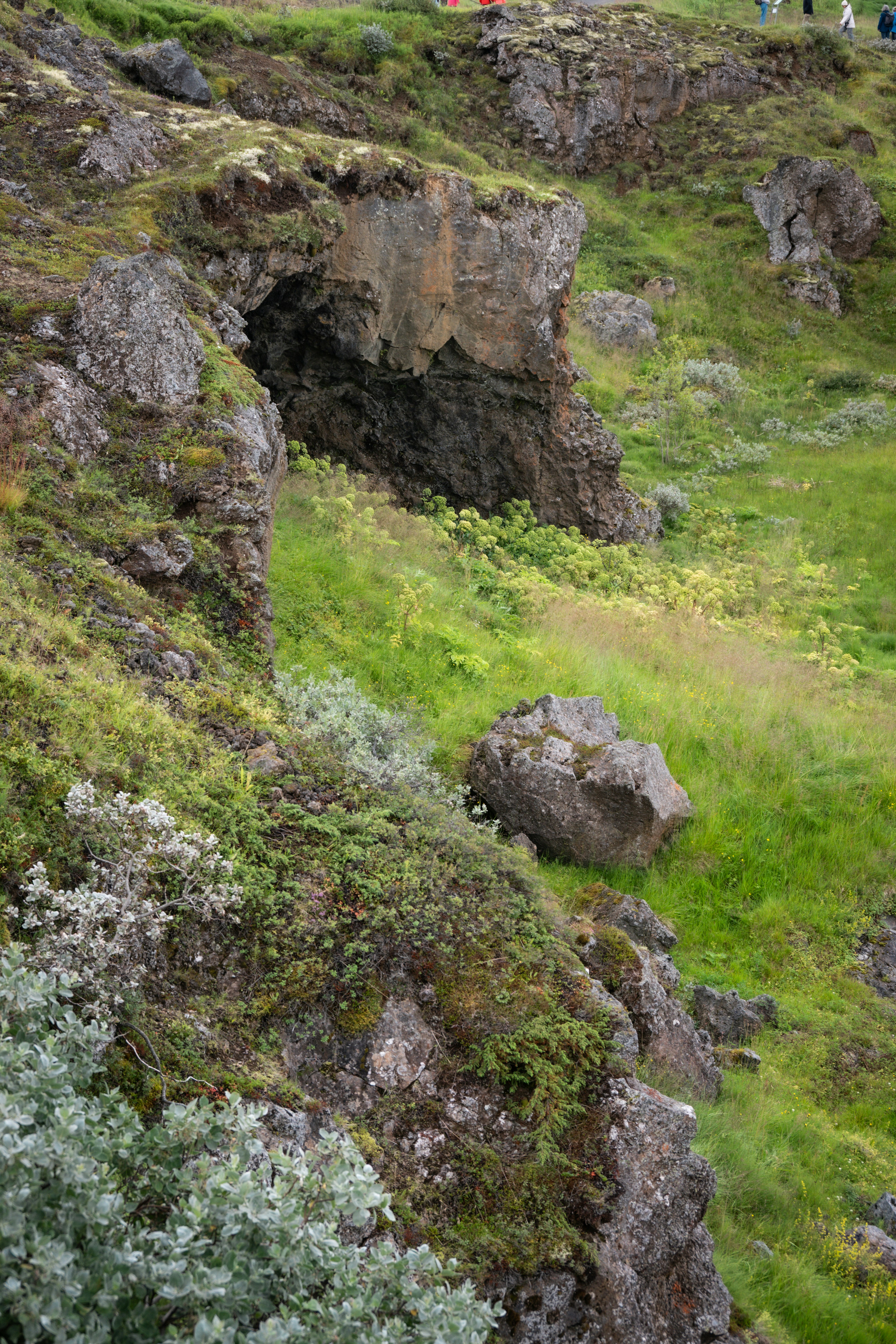 Photo by justmejuliee