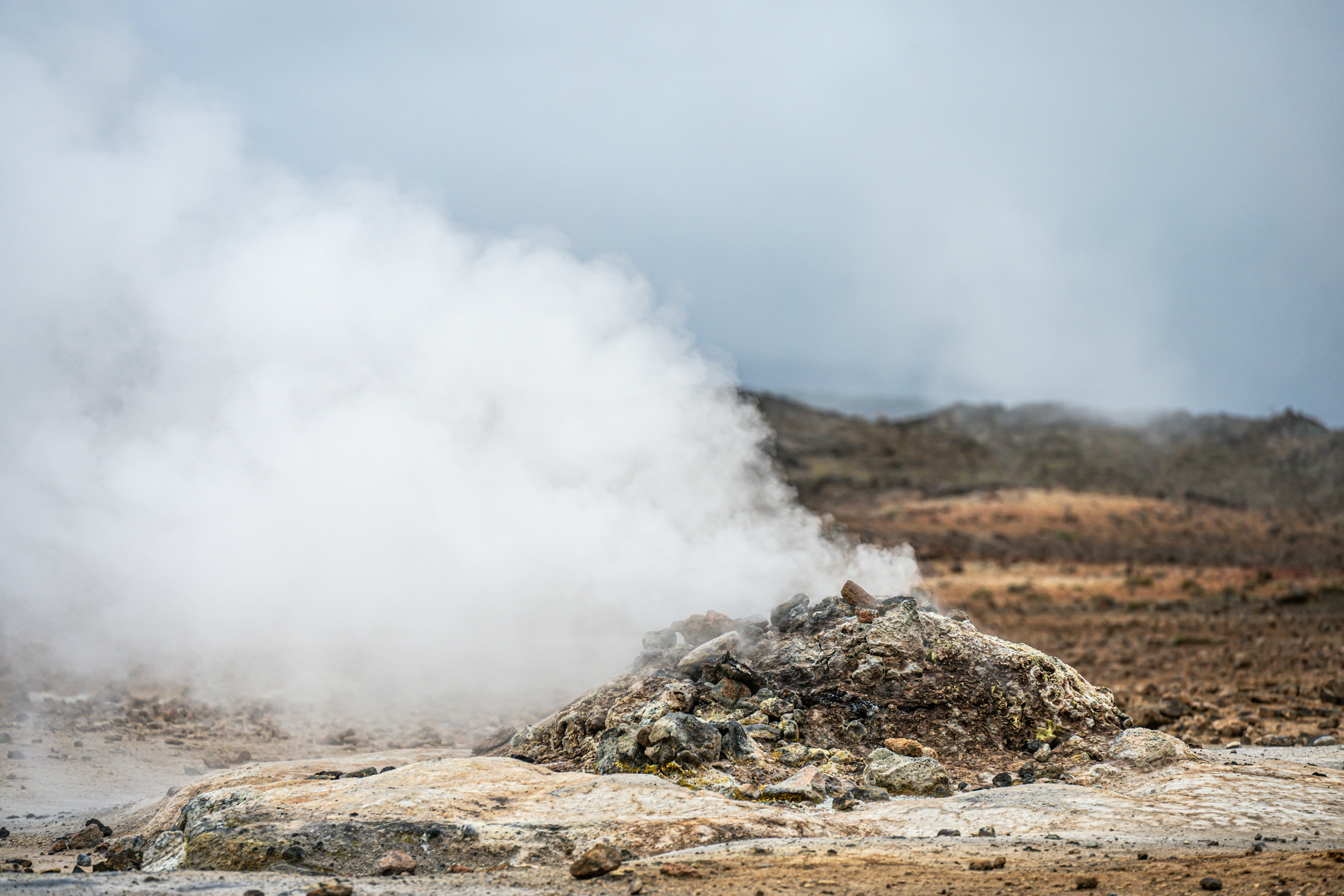 Photo by justmejuliee