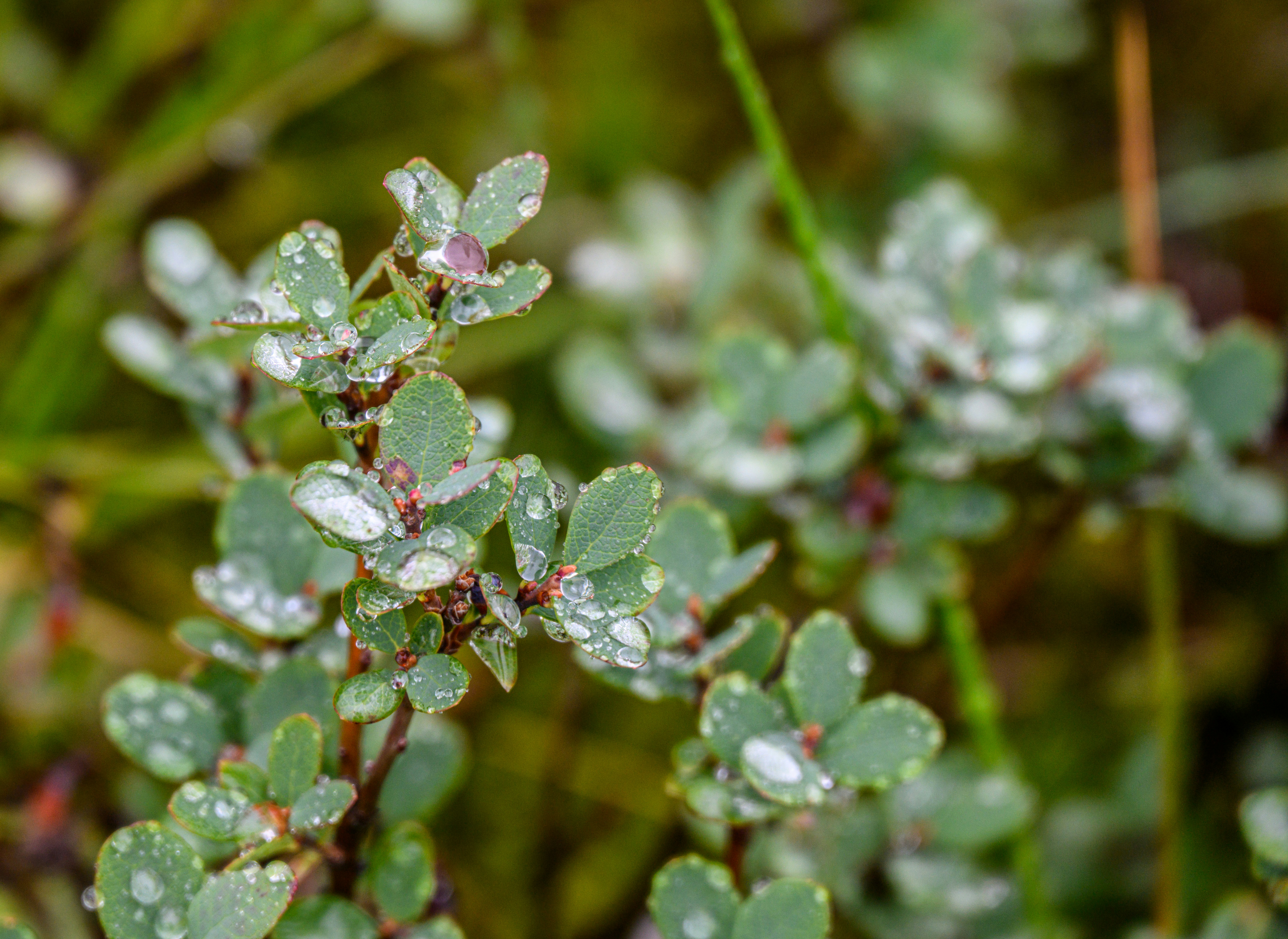 Photo by justmejuliee