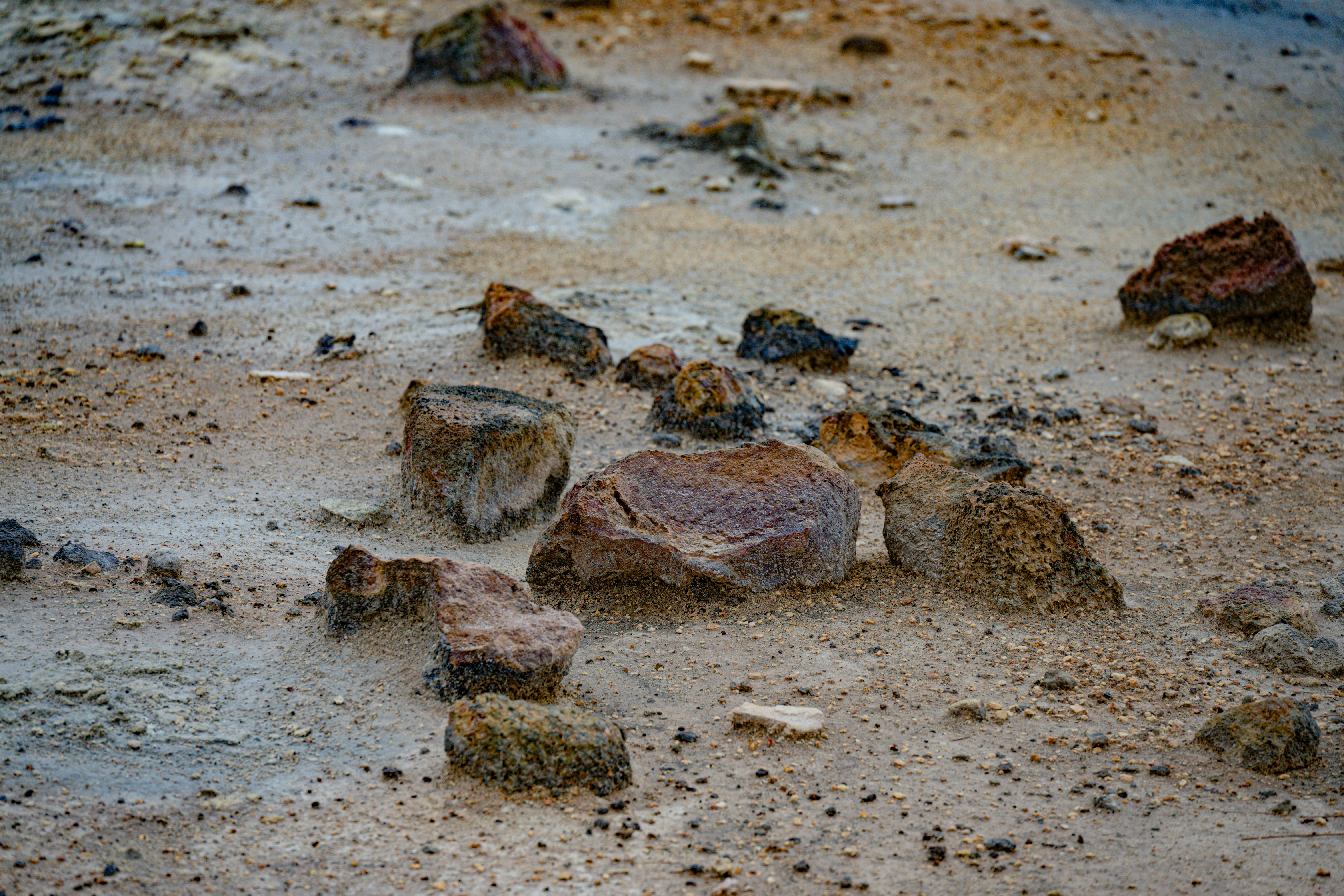 Photo by justmejuliee