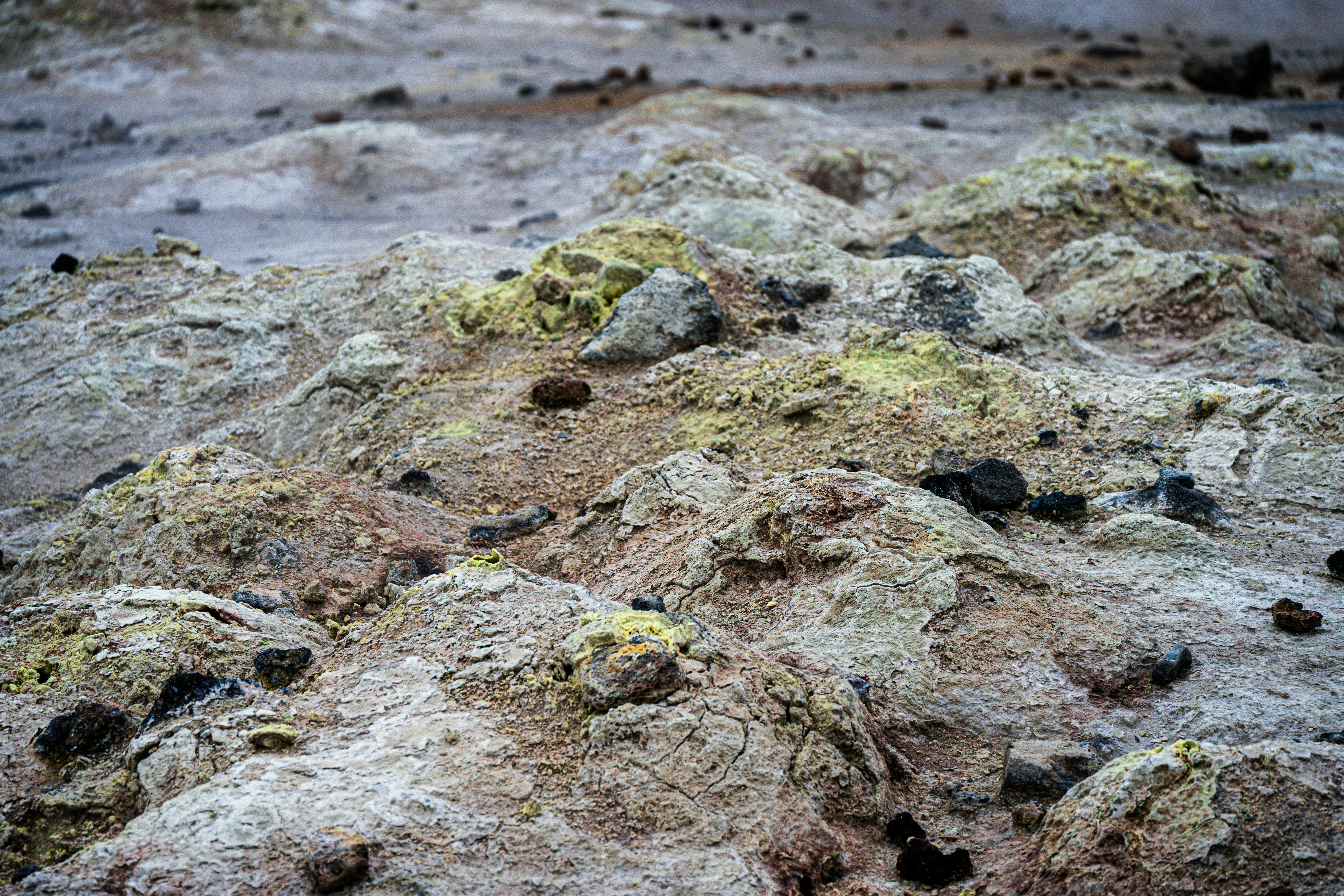 Photo by justmejuliee