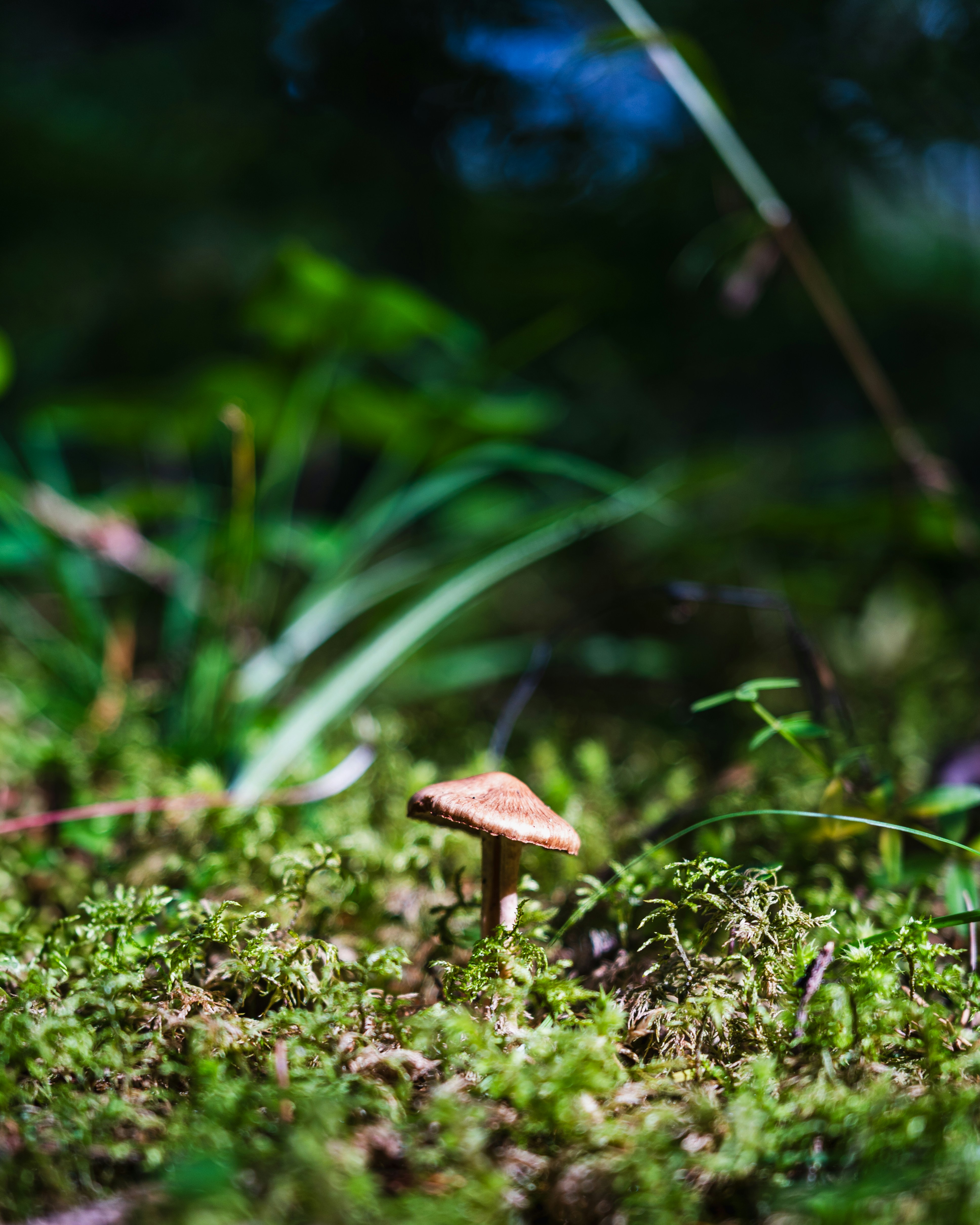 Photo by eduartography