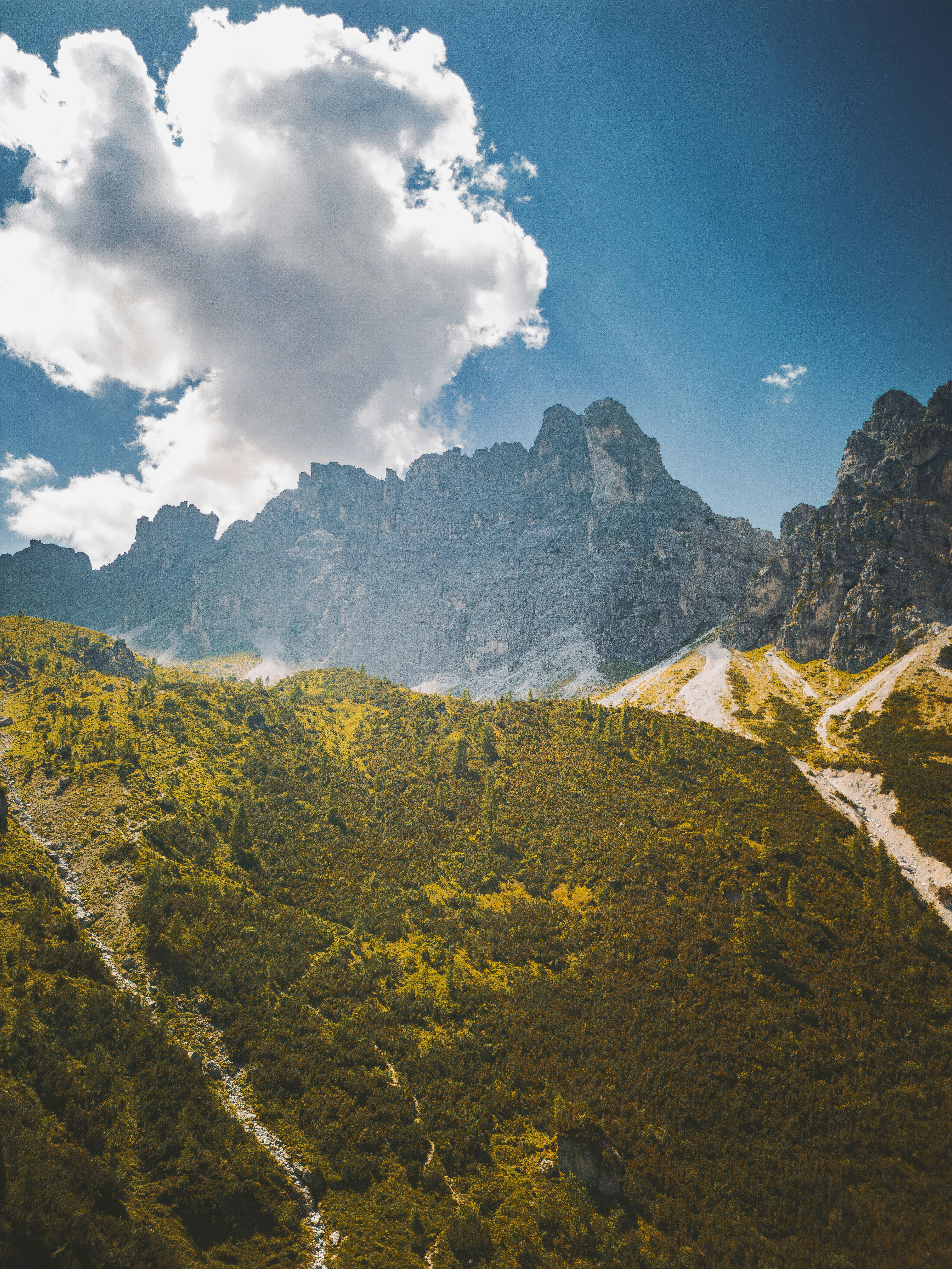 Photo by merlin_photo