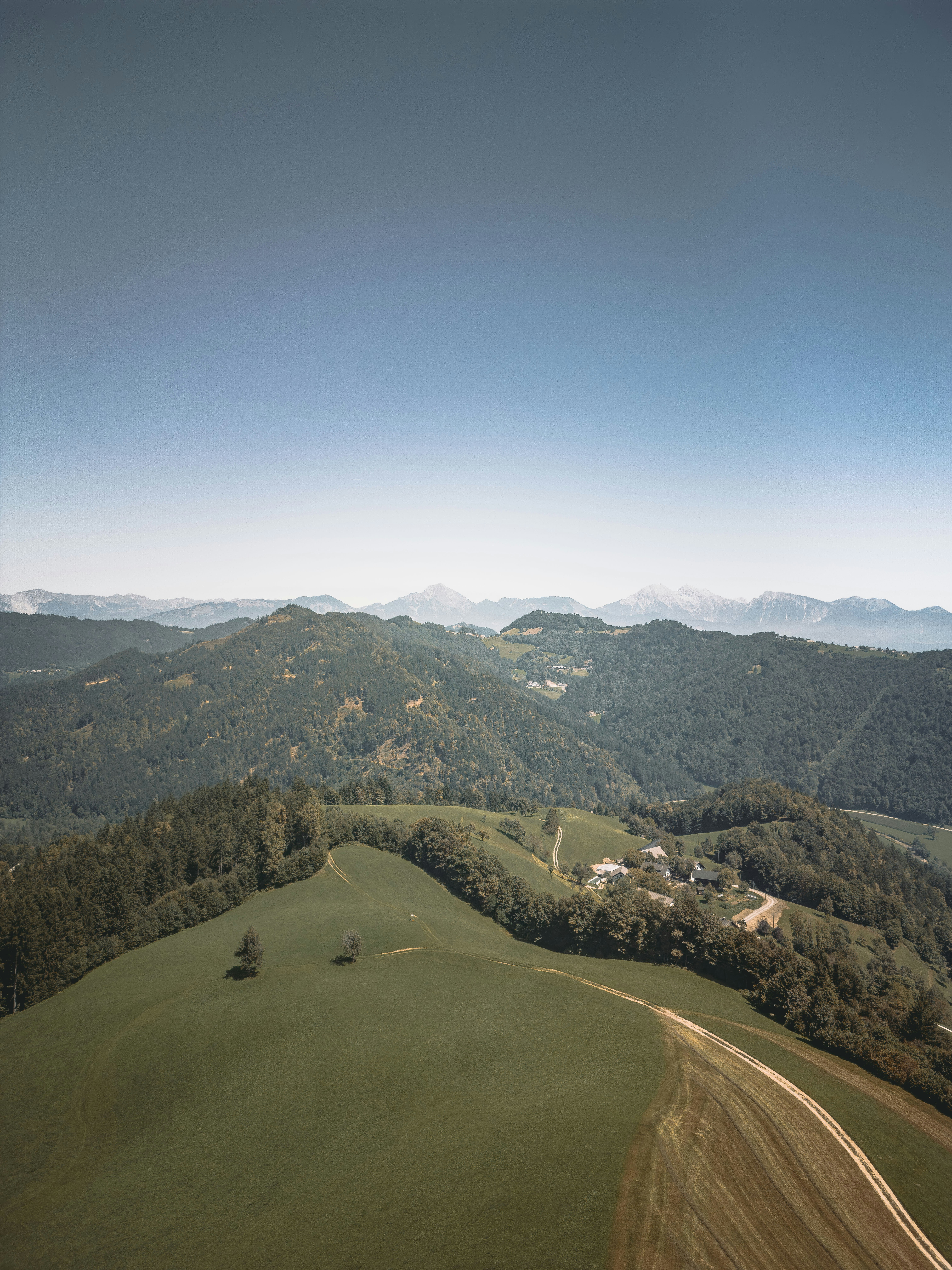 Photo by merlin_photo