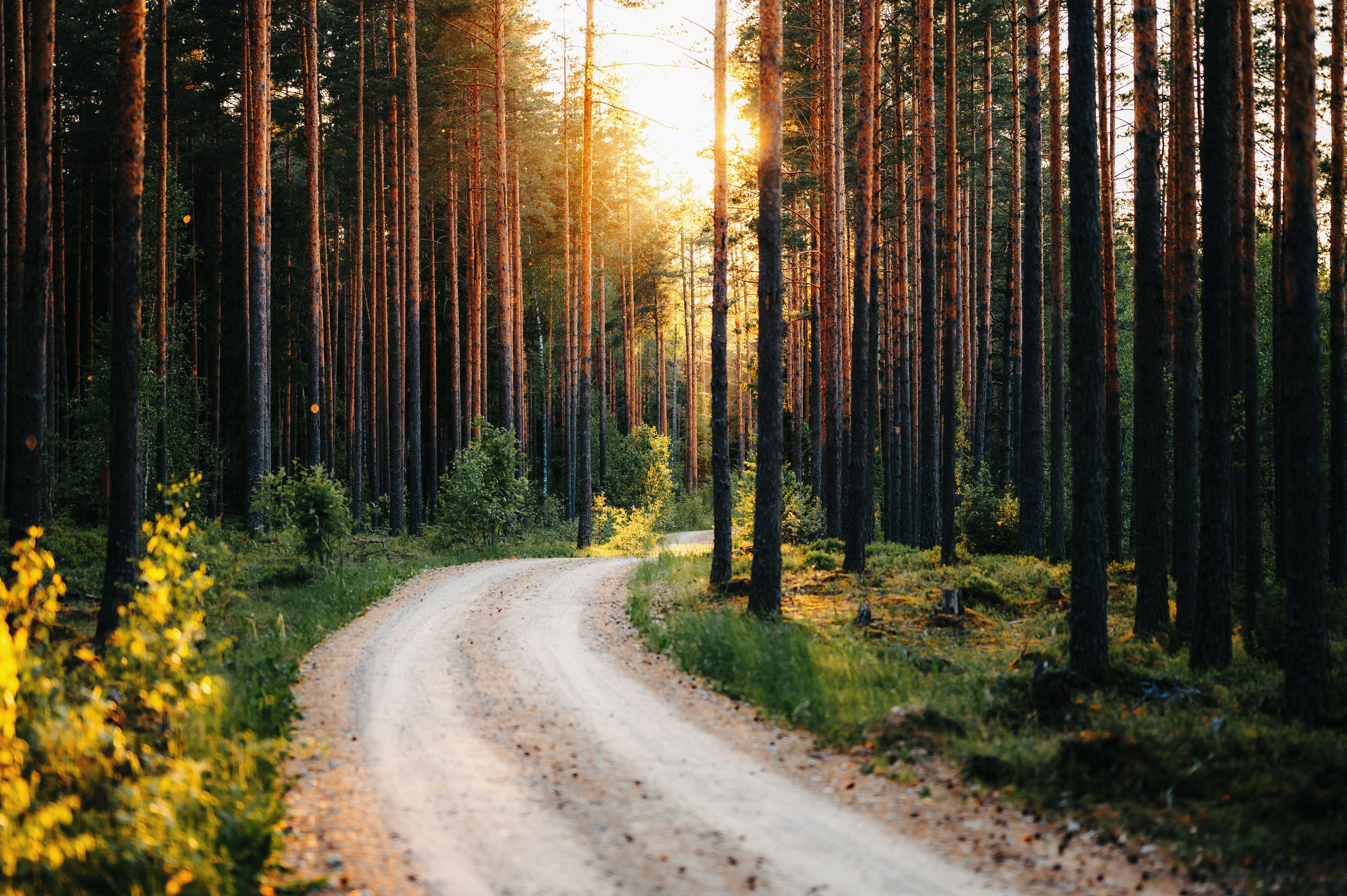 Photo by kristapsungurs