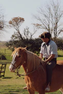 Man in flat cap riding a brown horse outdoors