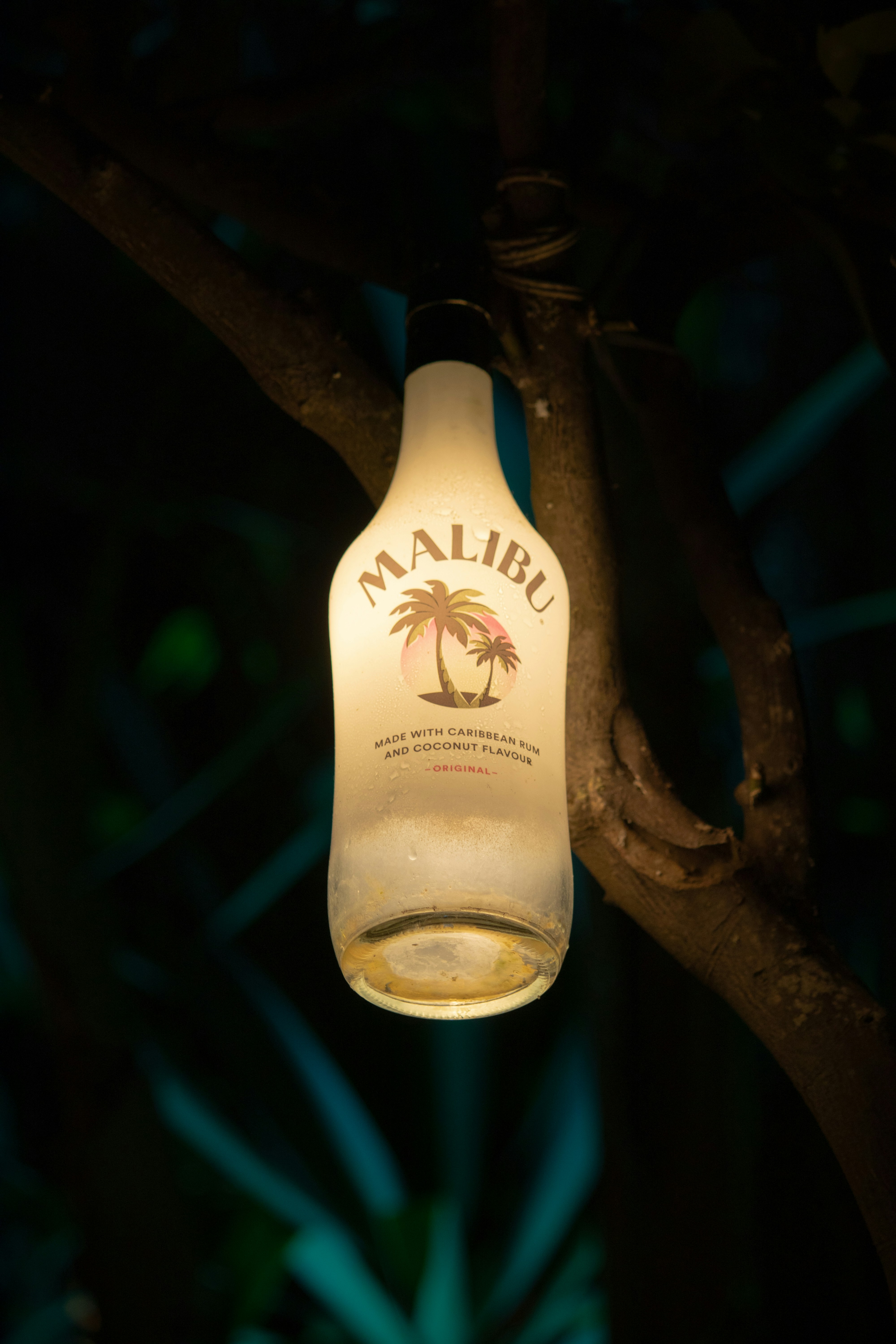 Malibu rum bottle hanging from a tree