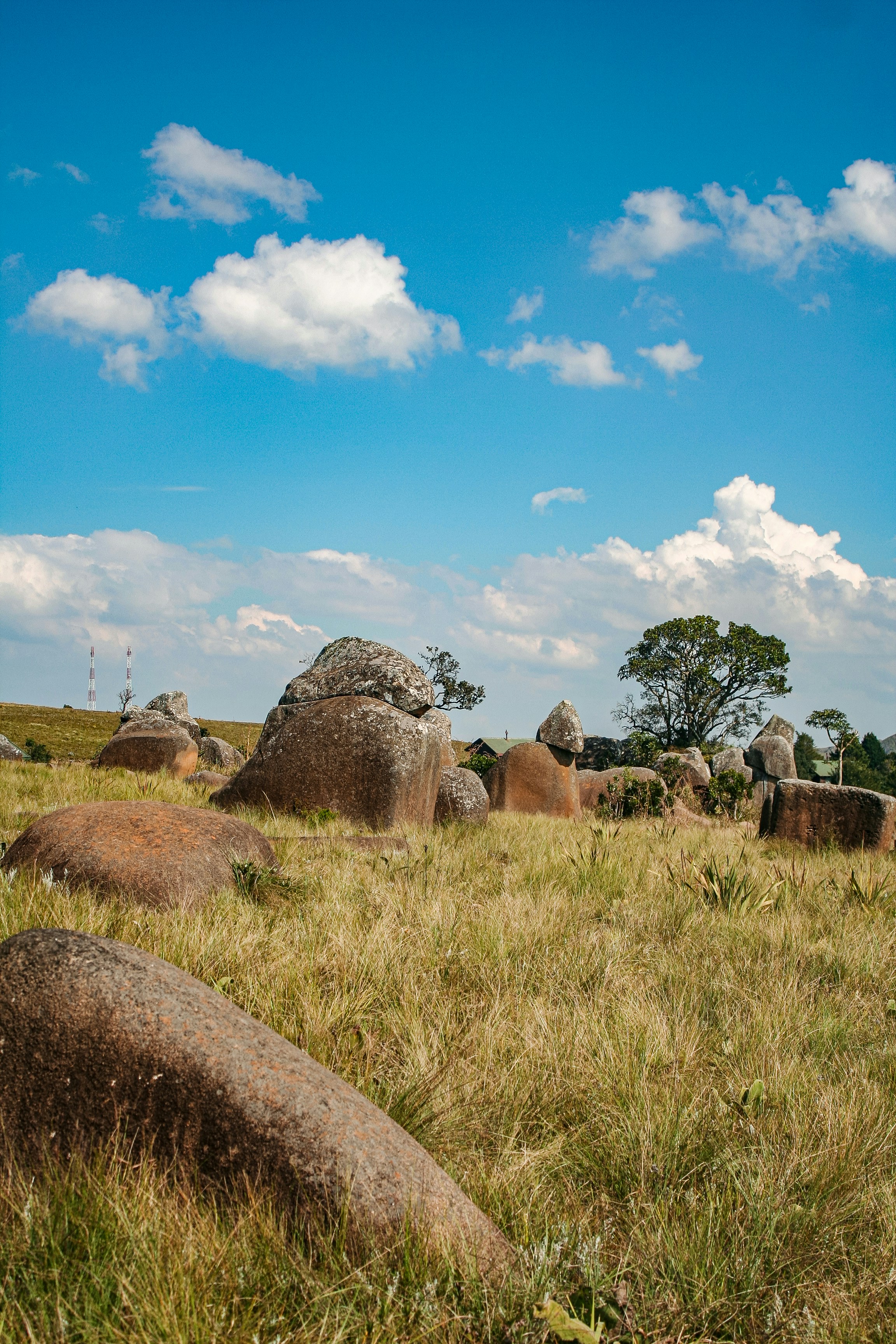 Grandes rocas redondeadas salpican un campo cubierto de hierba bajo el cielo azul.