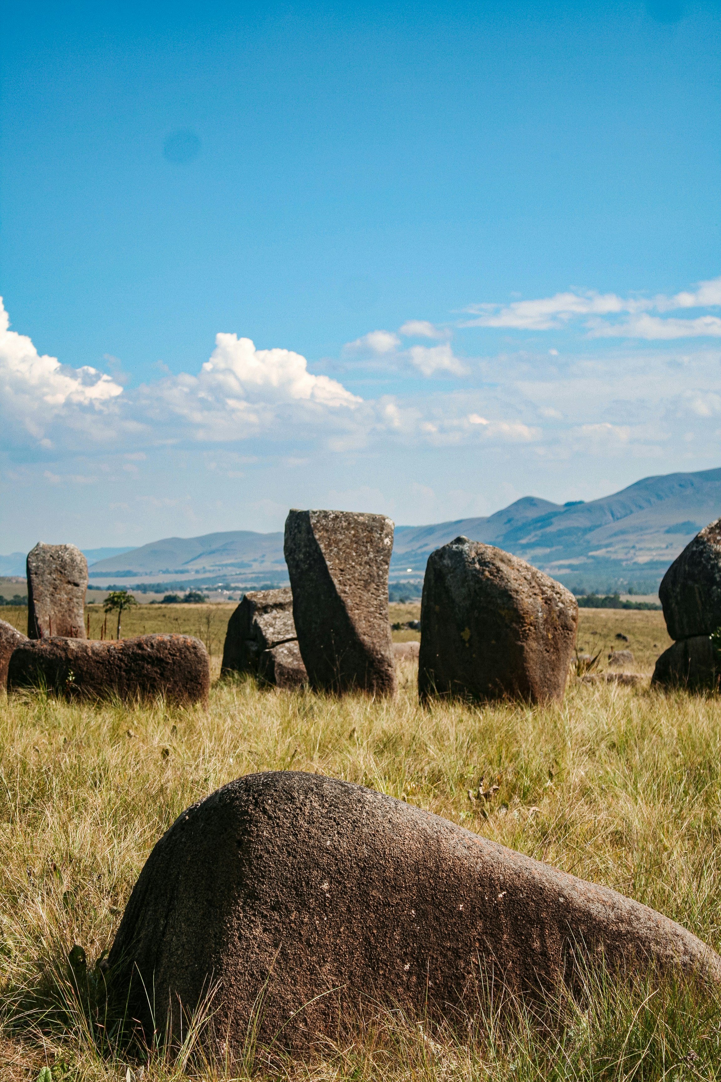 Photo by proudlyswazi_free