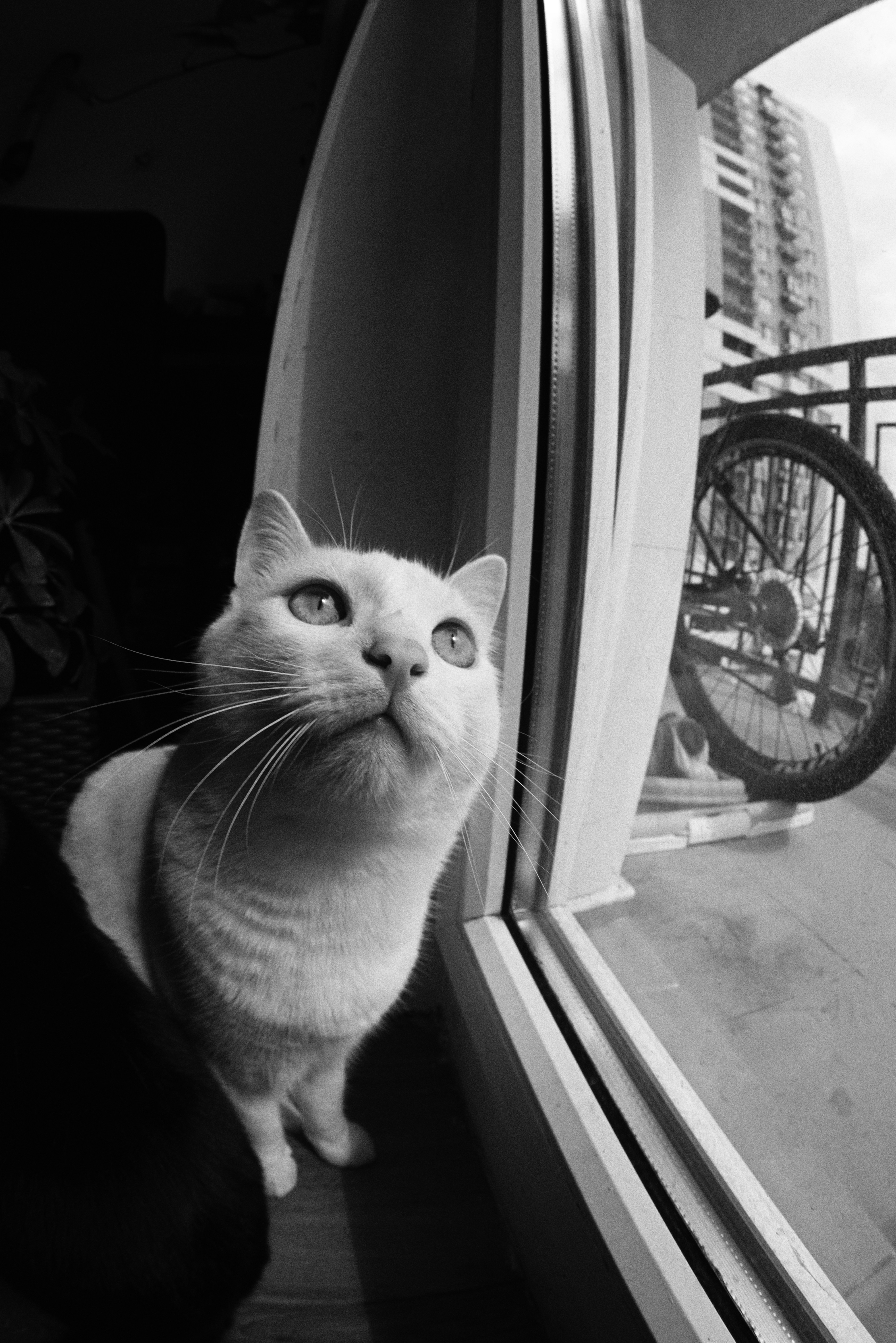 Photo by lvovandrewph