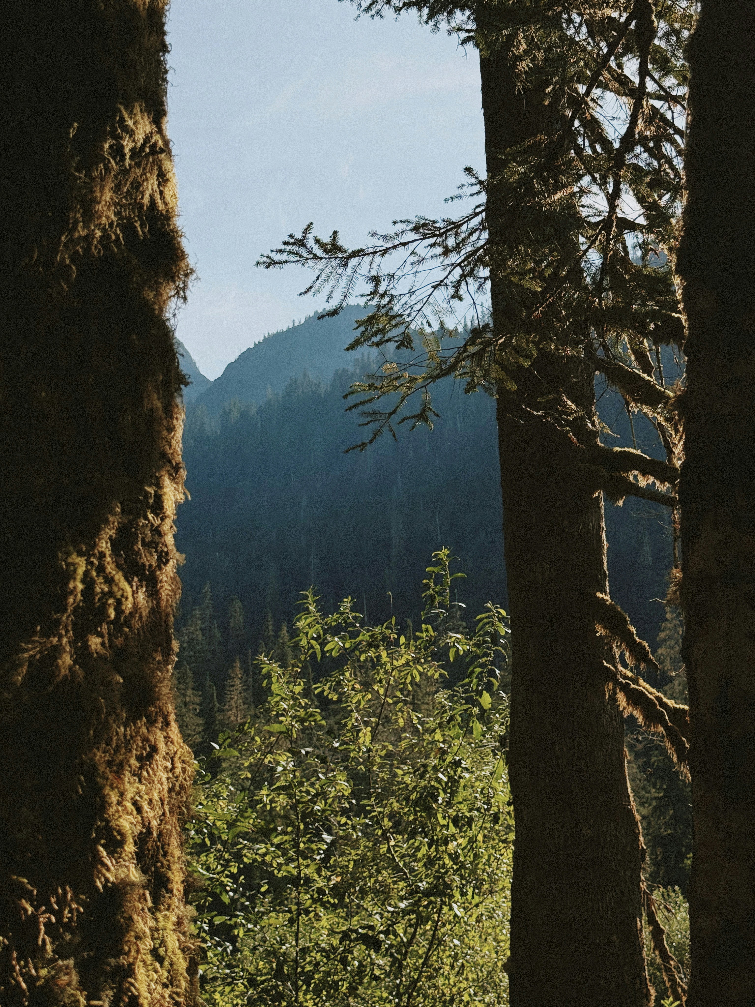 Photo by kambriatrout