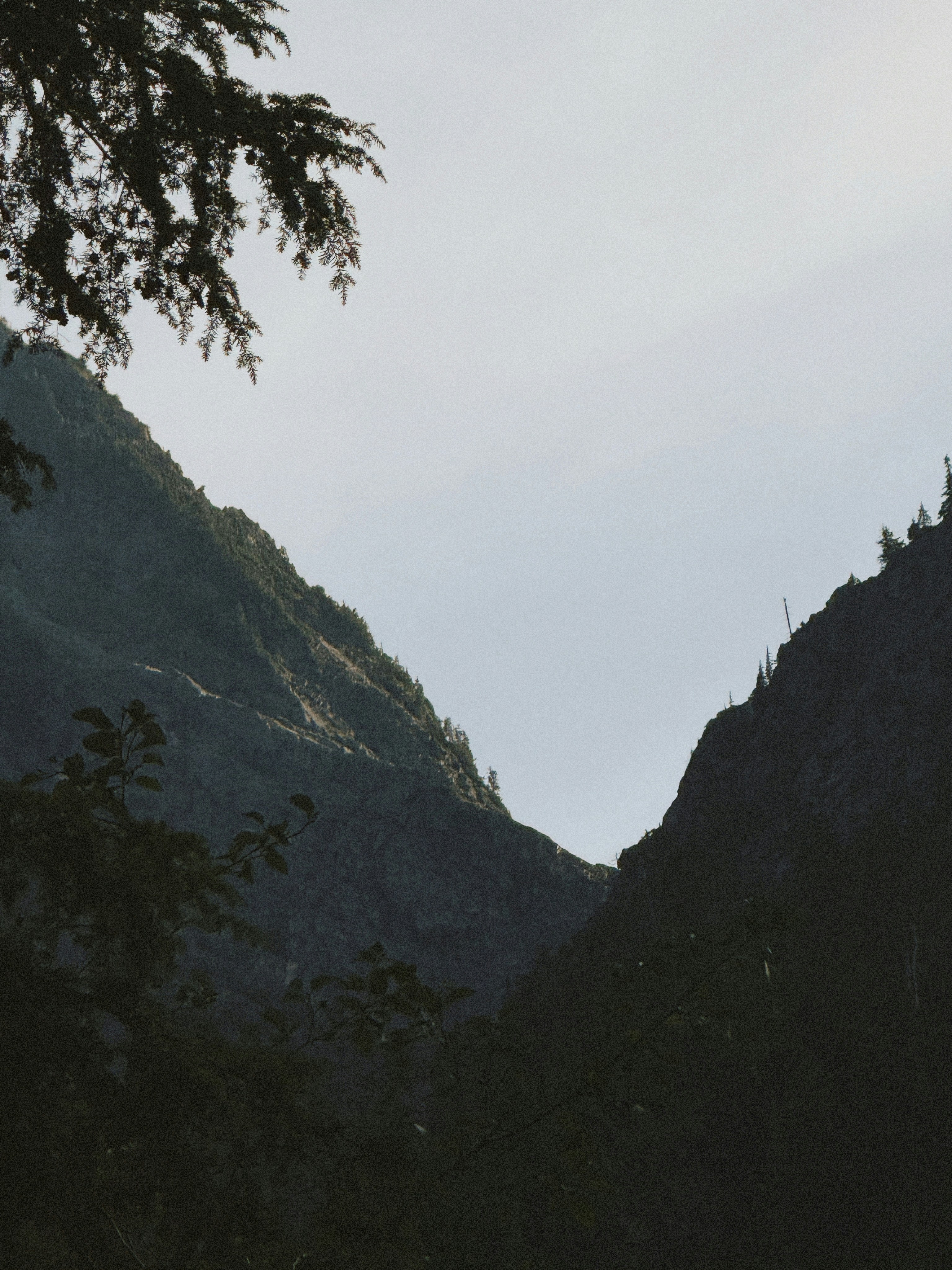 Photo by kambriatrout