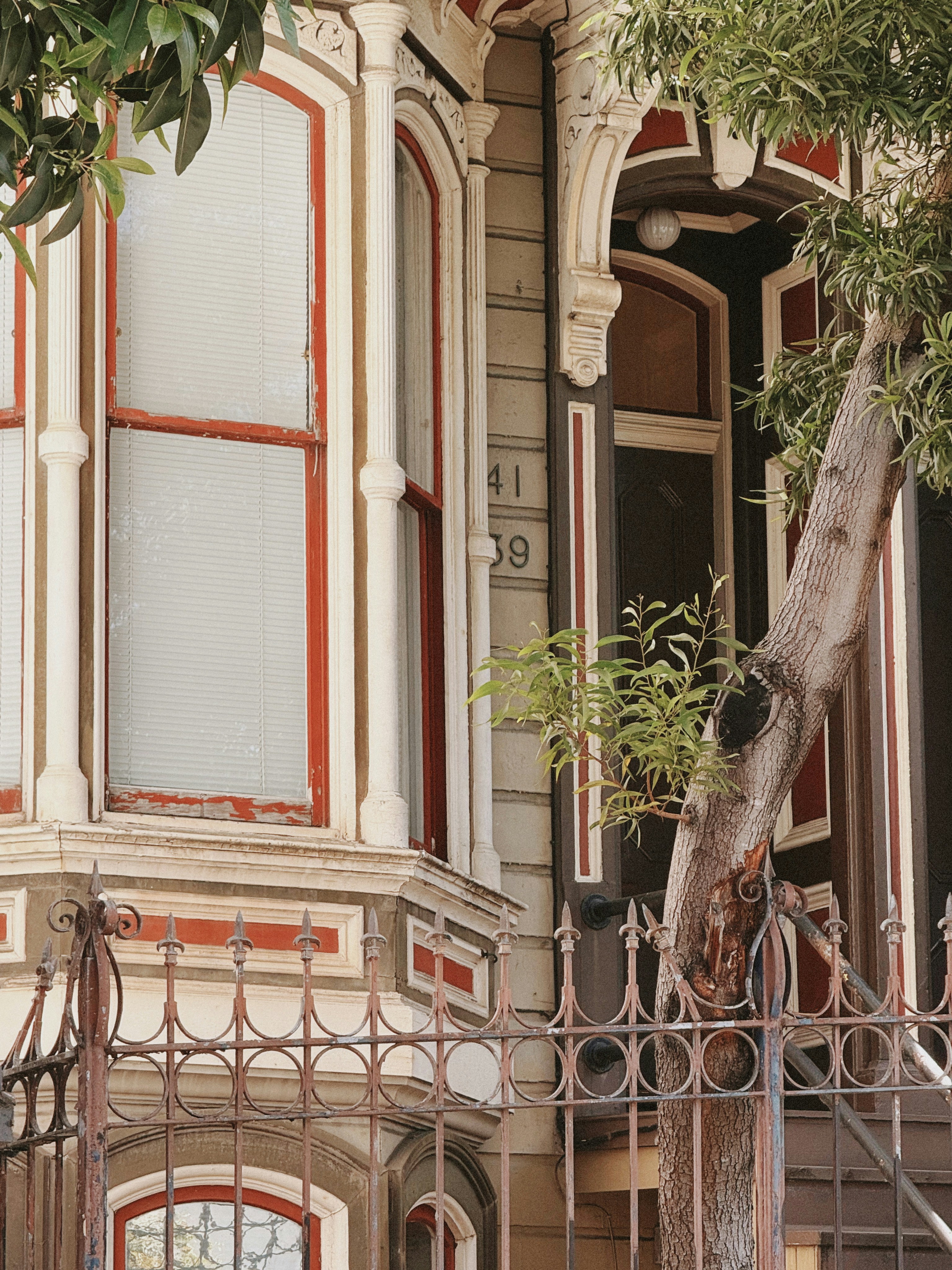 Photo by kambriatrout