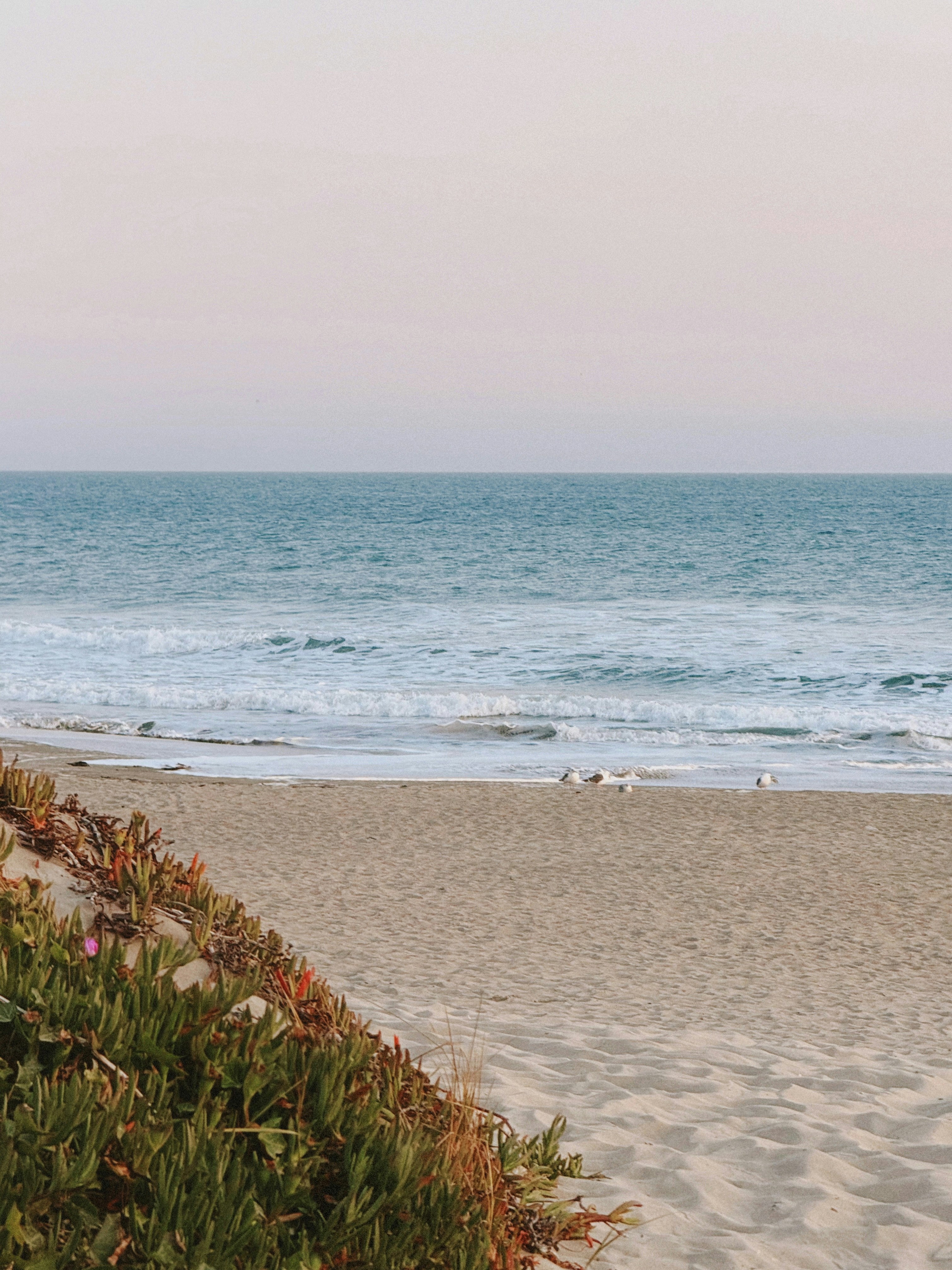 Photo by kambriatrout