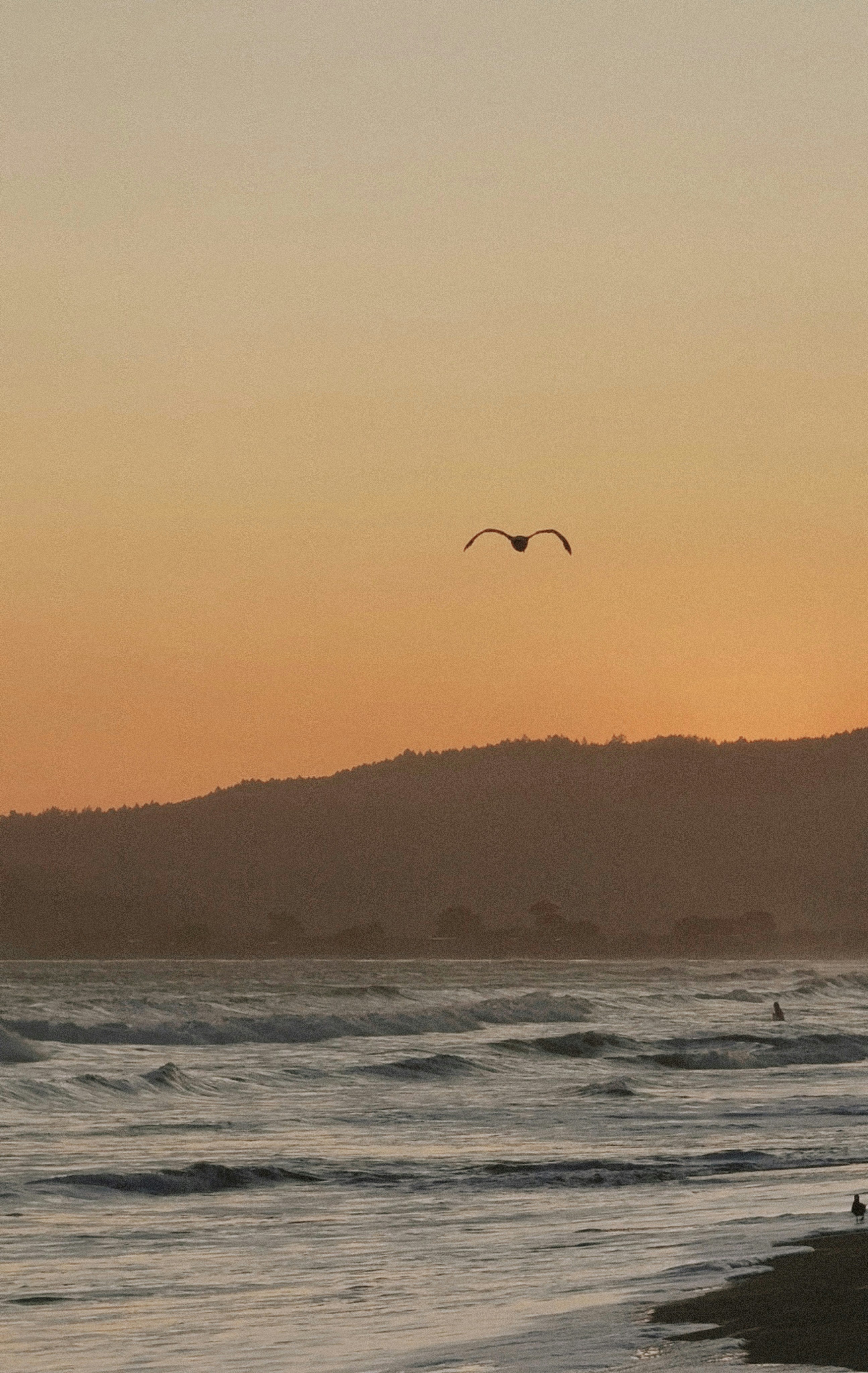 Photo by kambriatrout