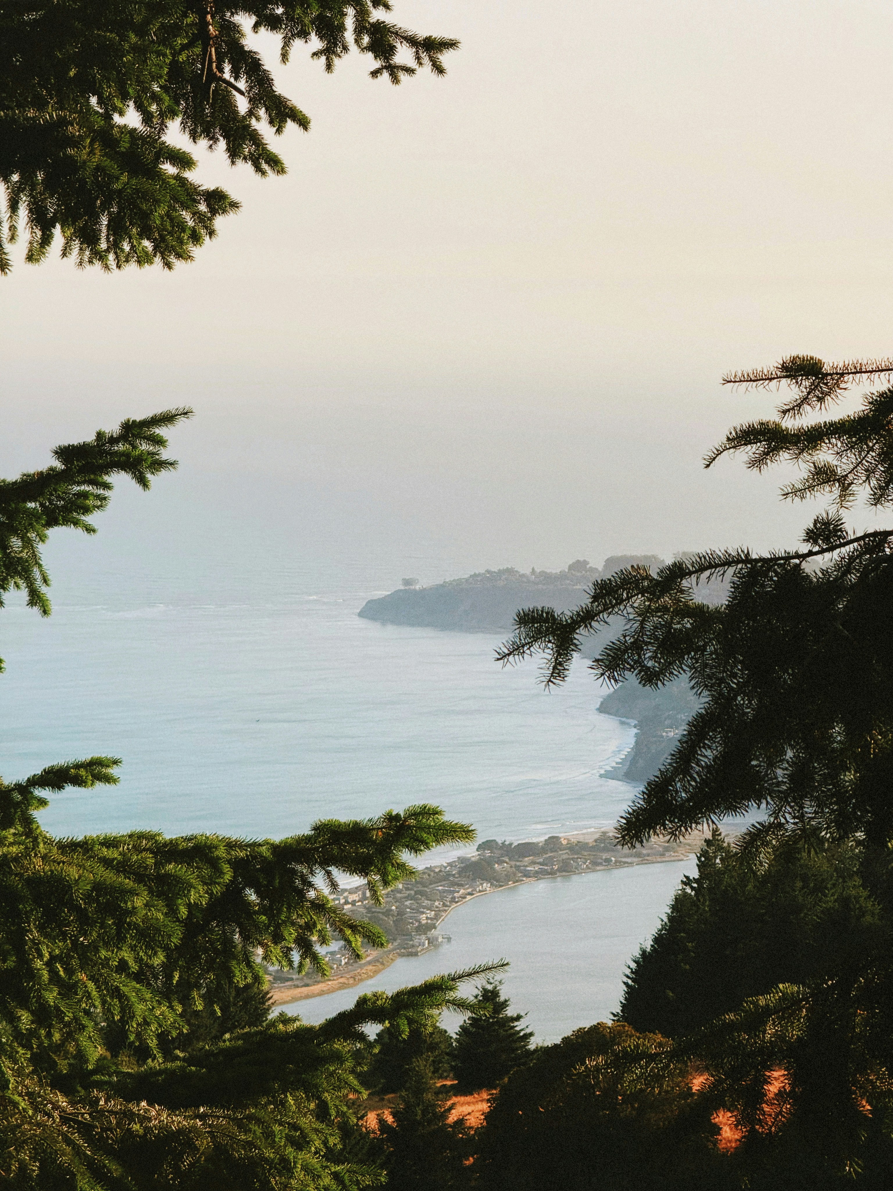 Photo by kambriatrout