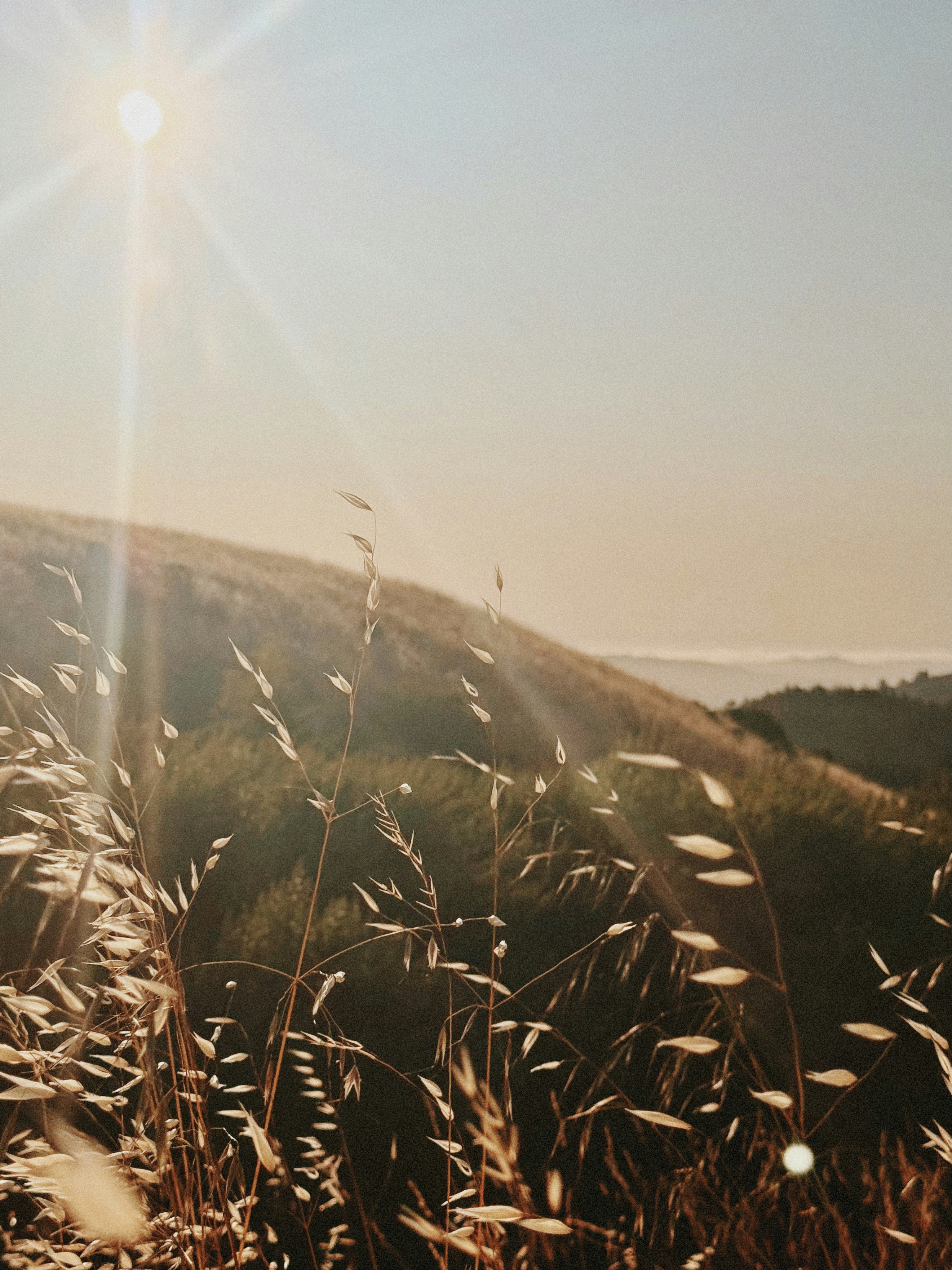 Photo by kambriatrout