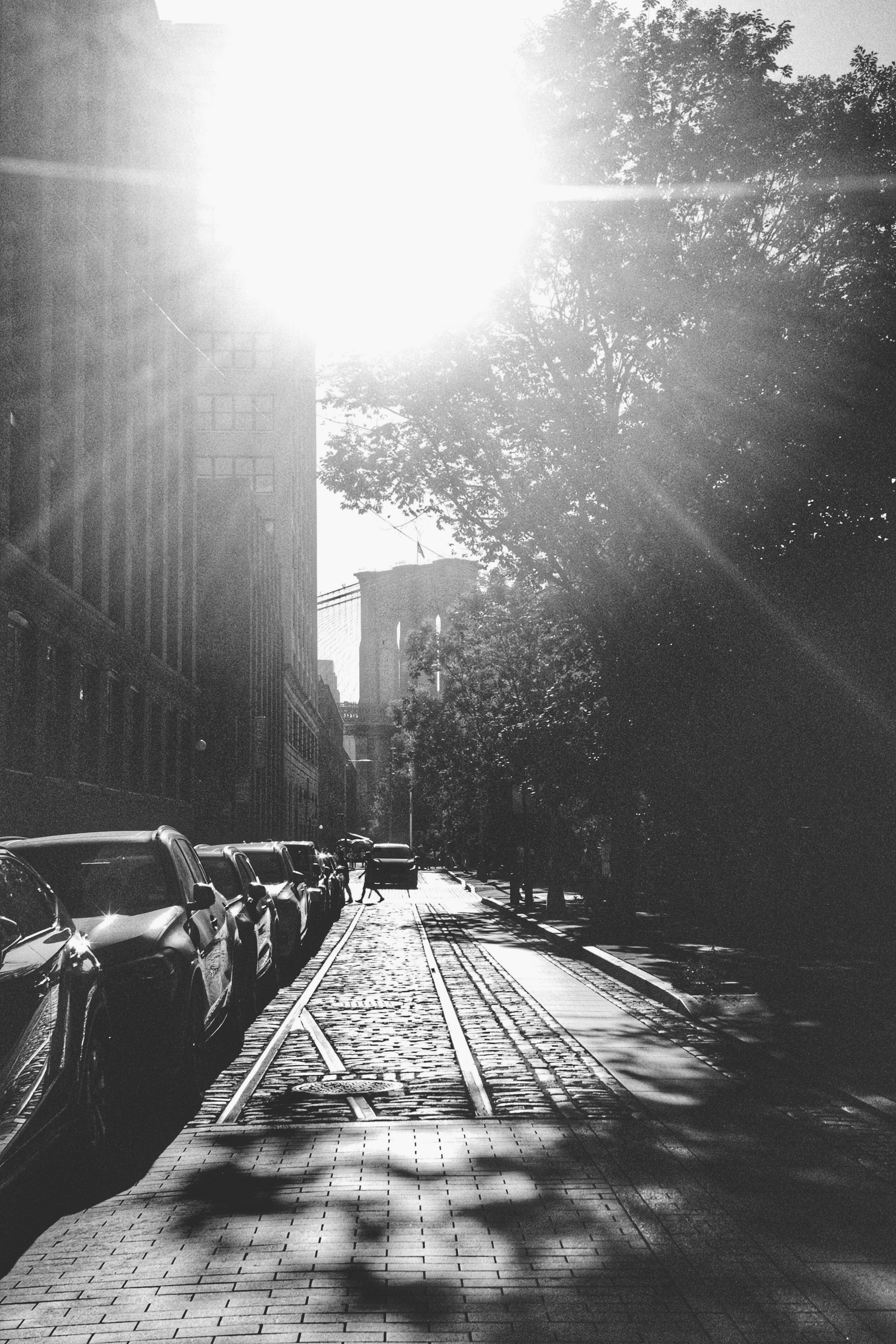 Photo by biancacecil