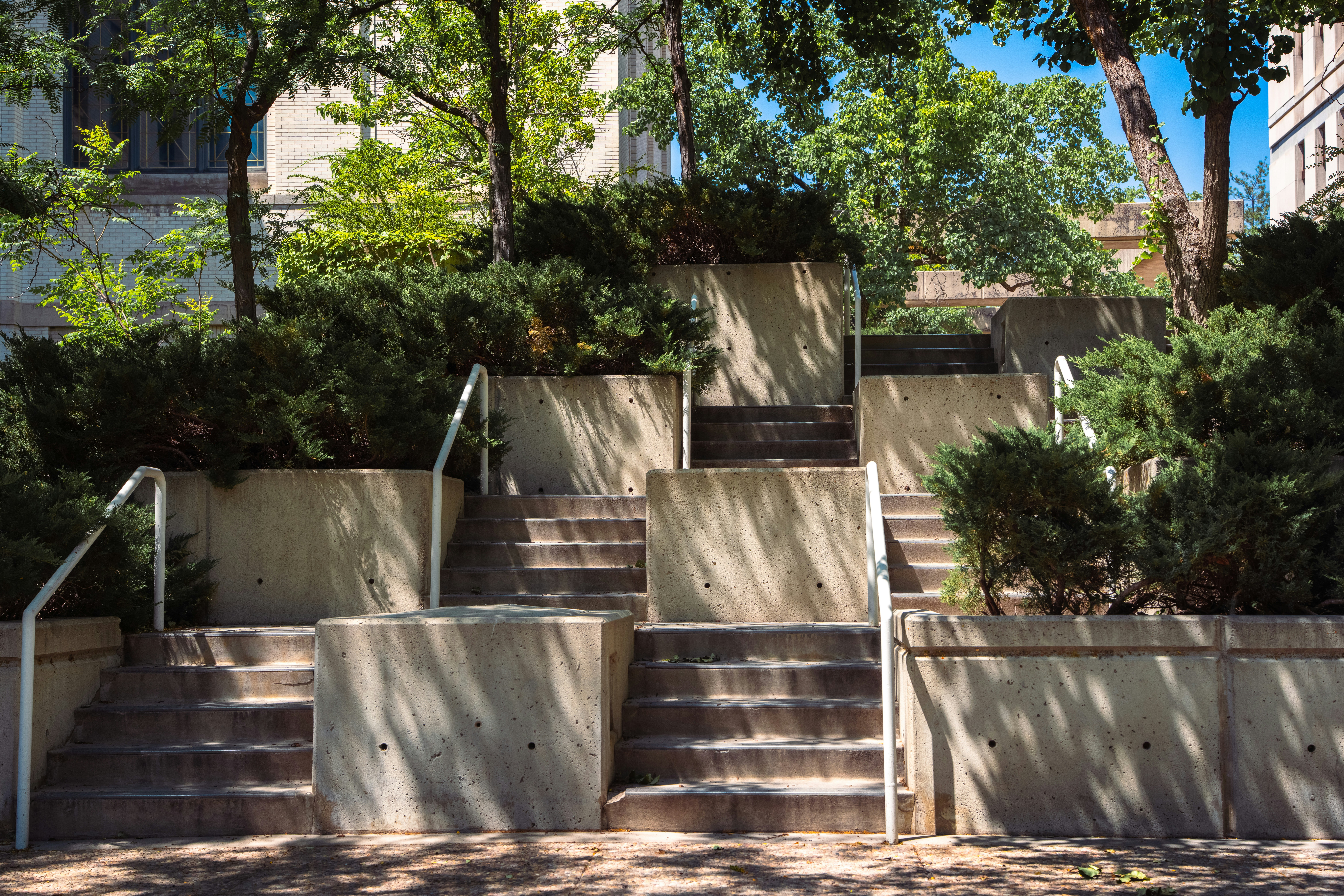 Concrete stairs and planters with green bushes and trees