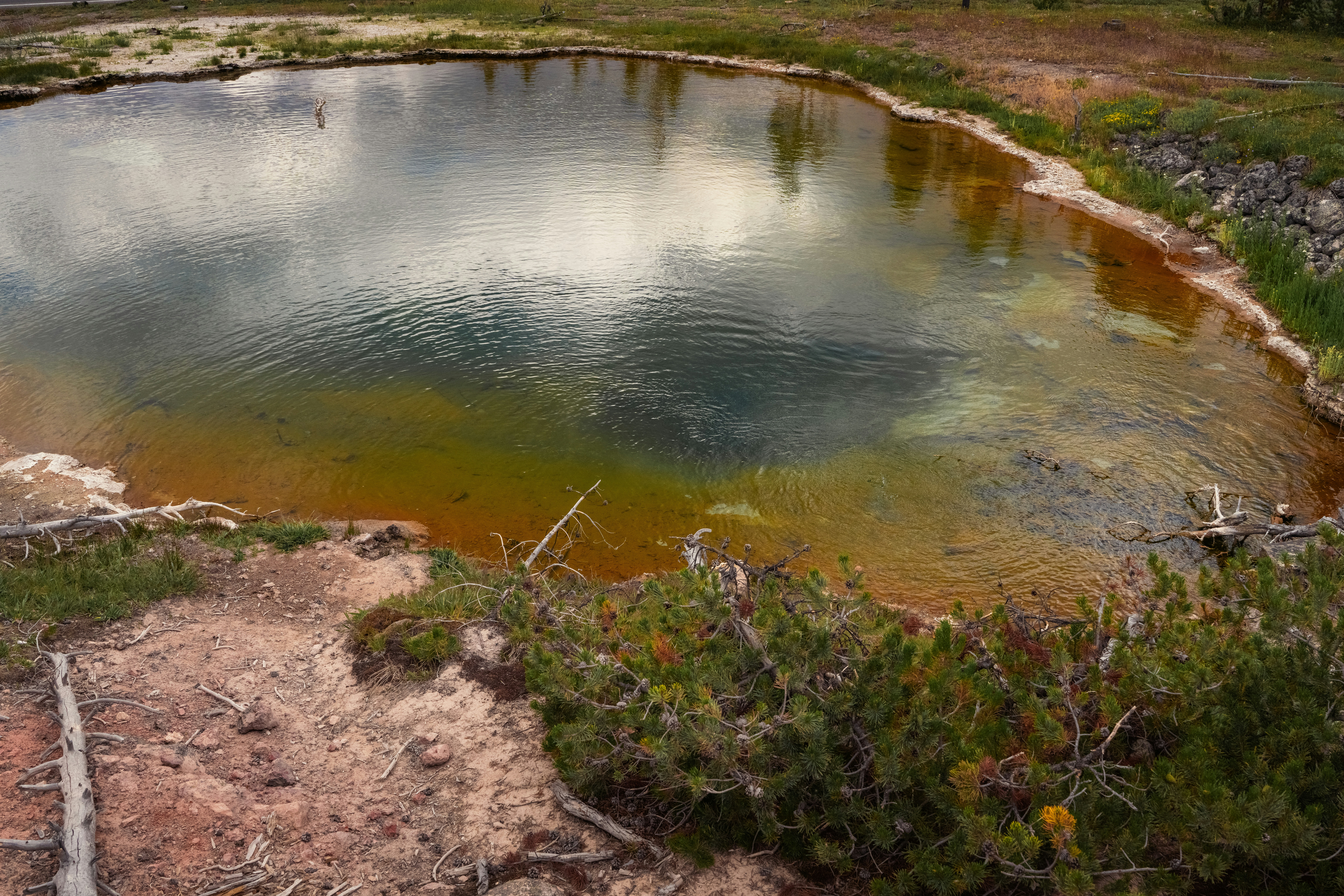 周囲の岩や植生が生い茂る色とりどりの温泉