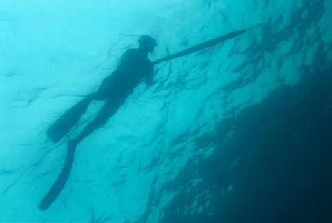 Spearfisherman swimming underwater with a spear.