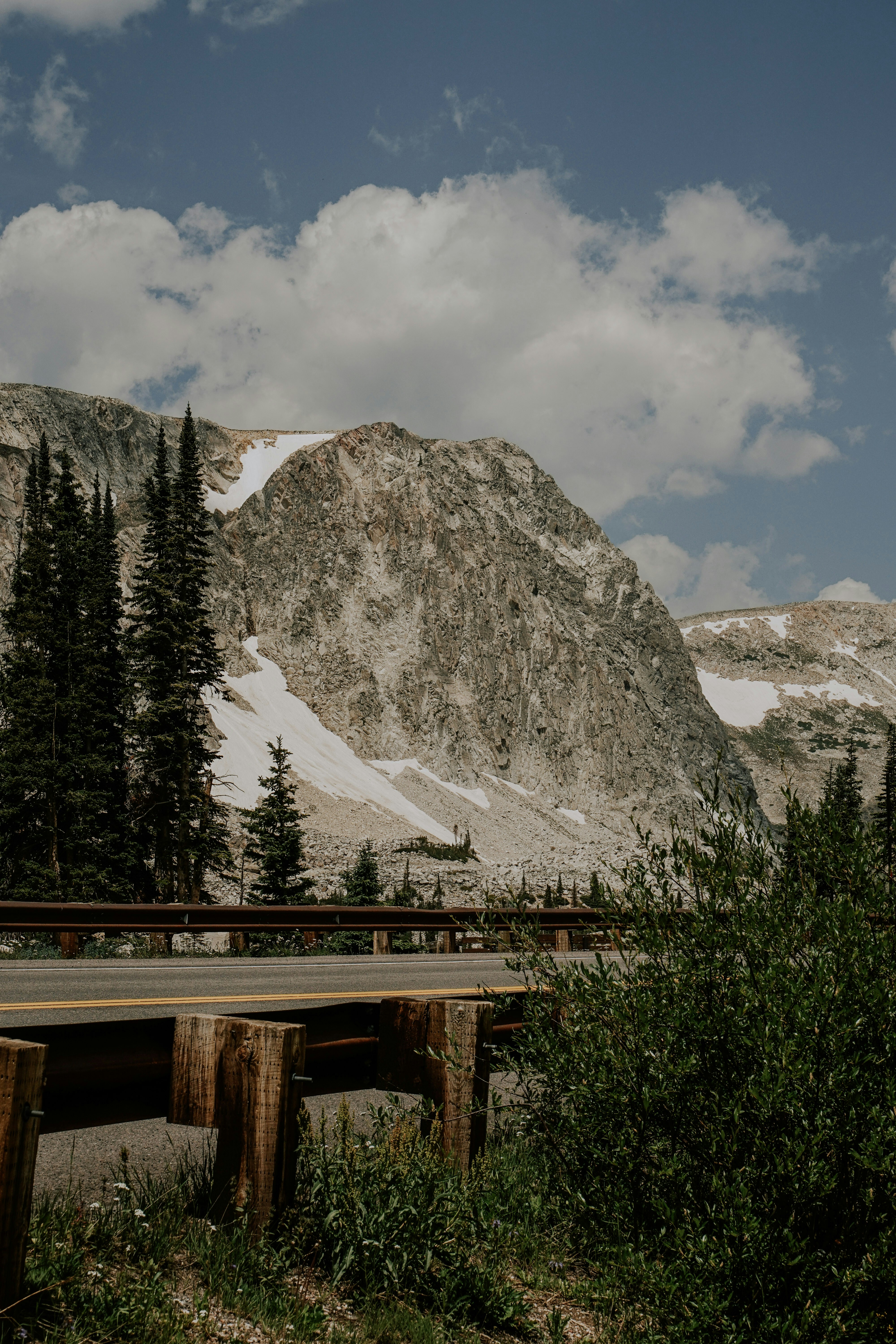 Rocky mountains with snow and green trees
