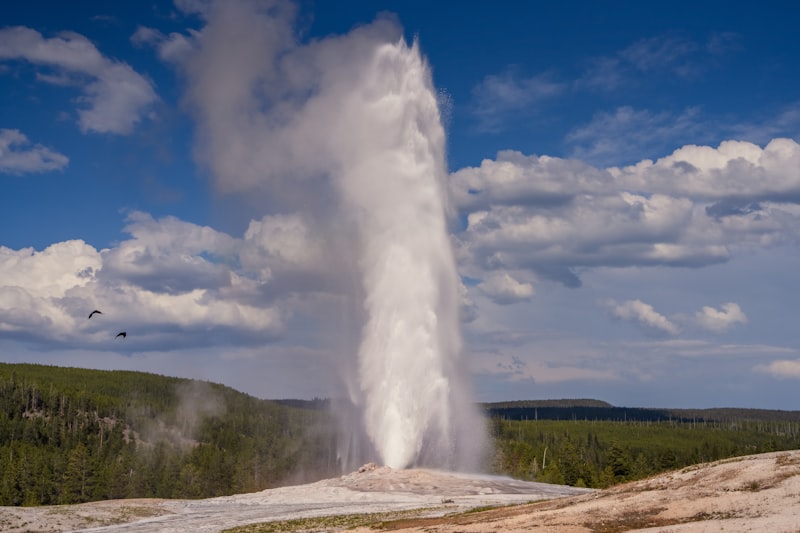 Yellowstone